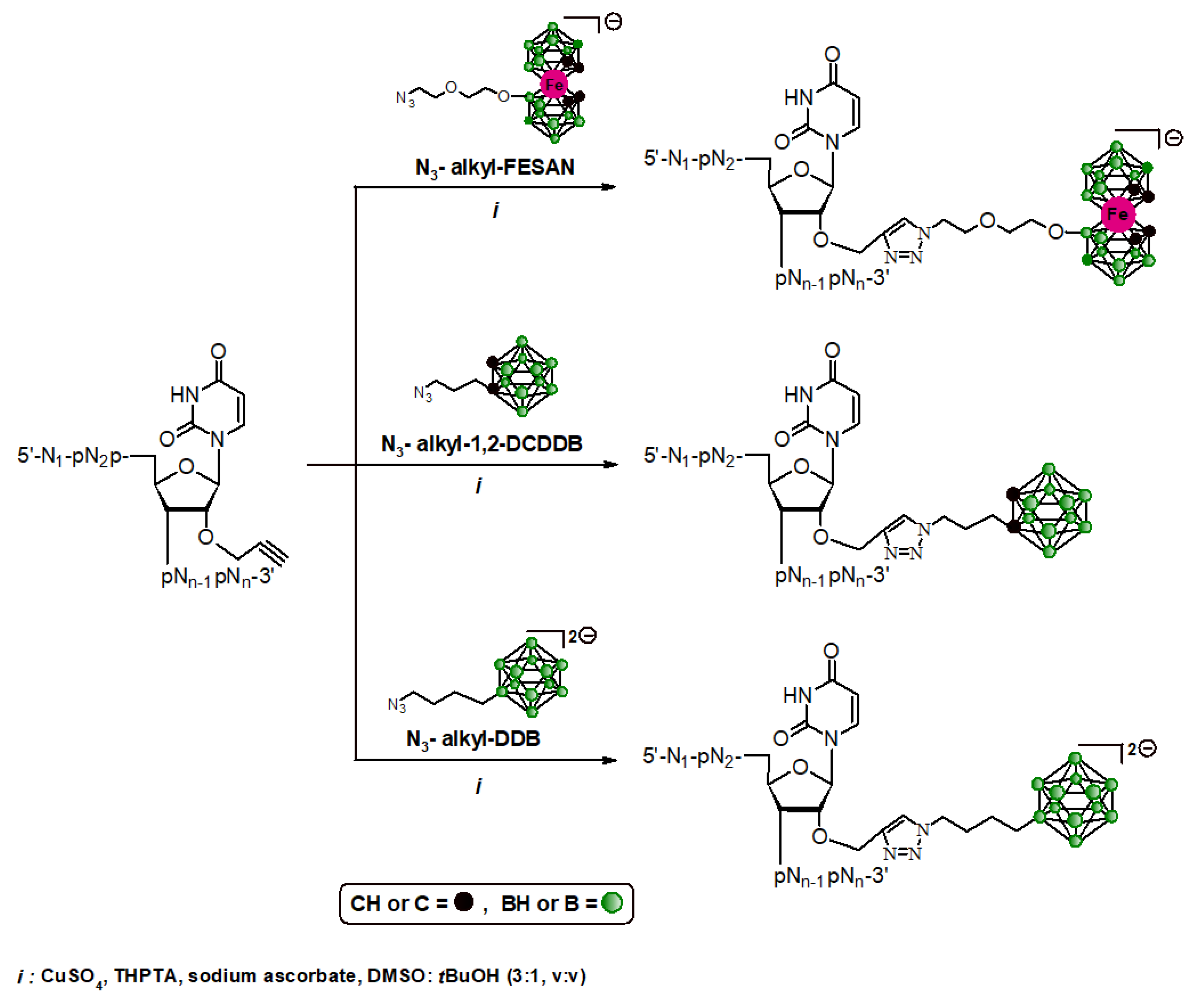 Ijms 23 12190 sch001 Ijms 23 12190 sch001