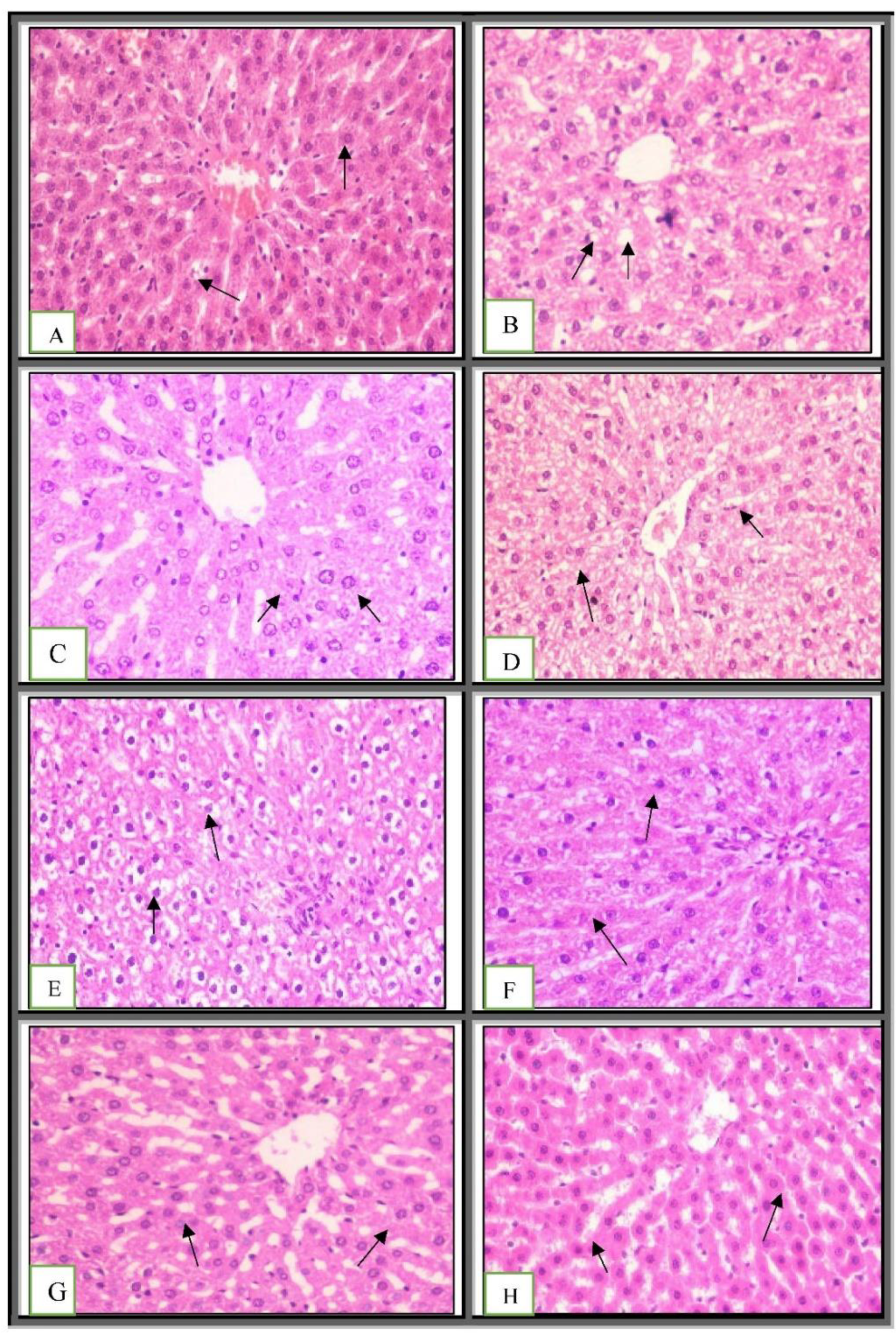 Ijms 23 12200 g003 Ijms 23 12200 g003