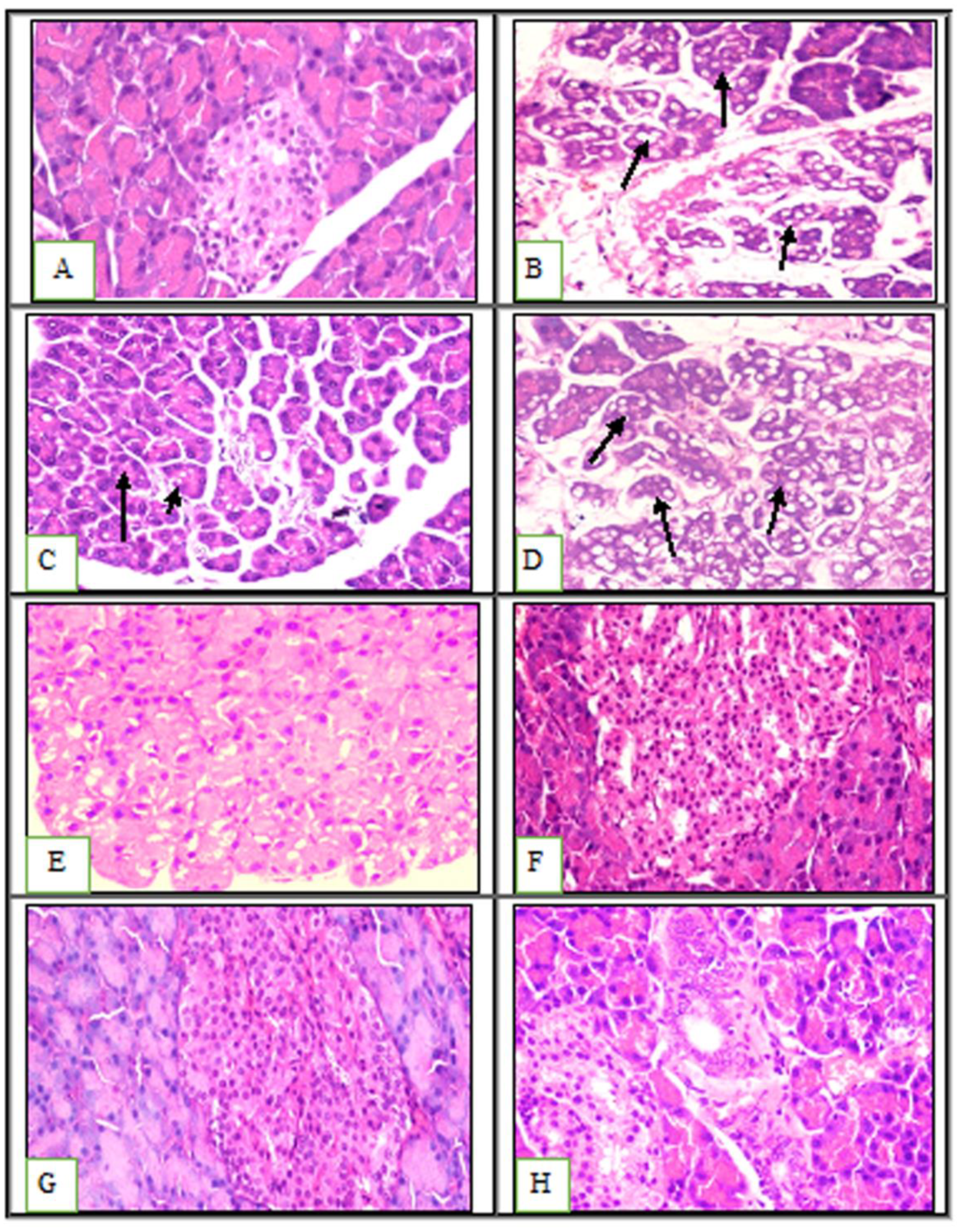 Ijms 23 12200 g005 Ijms 23 12200 g005