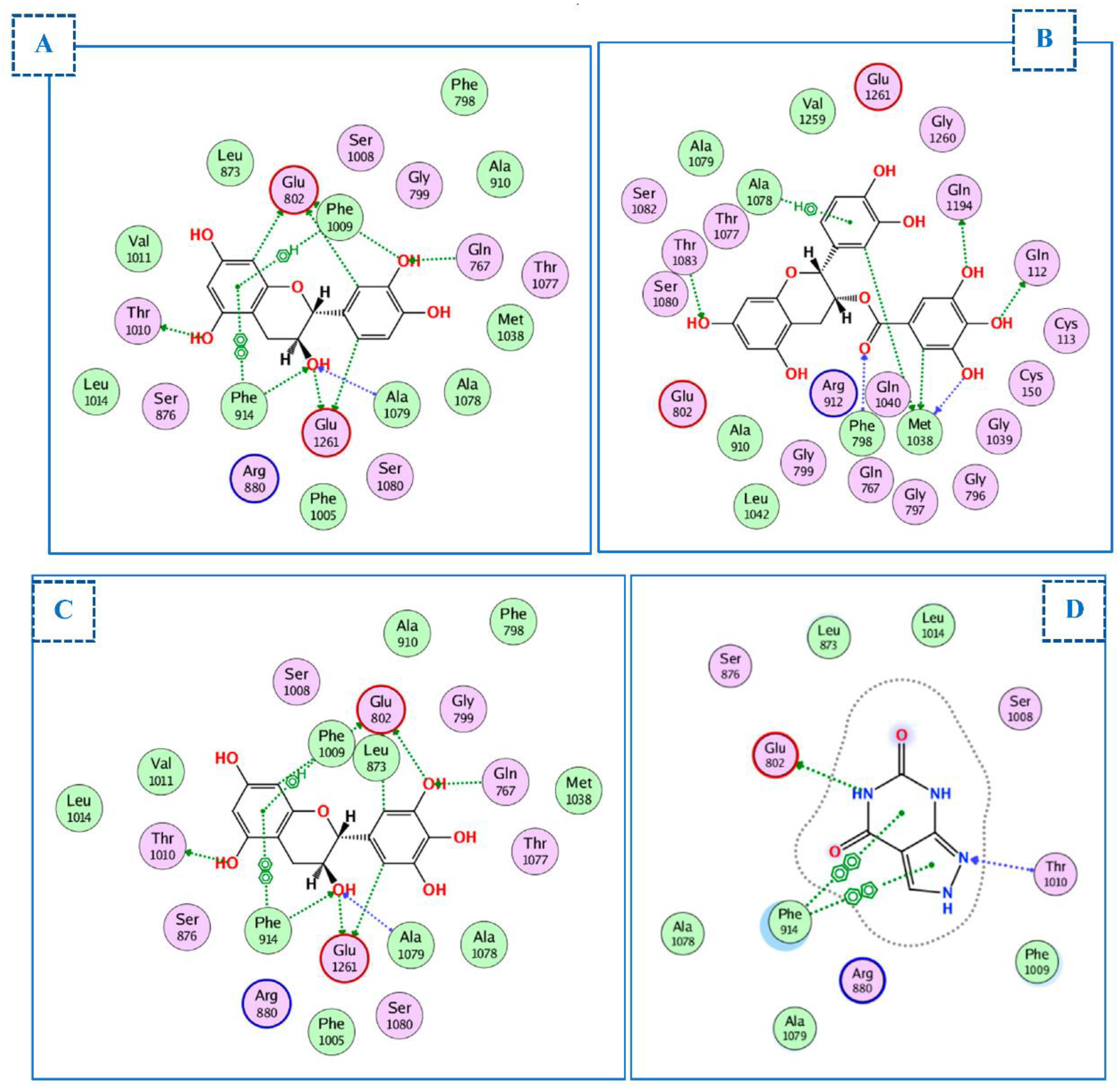 Ijms 23 12200 g006 Ijms 23 12200 g006