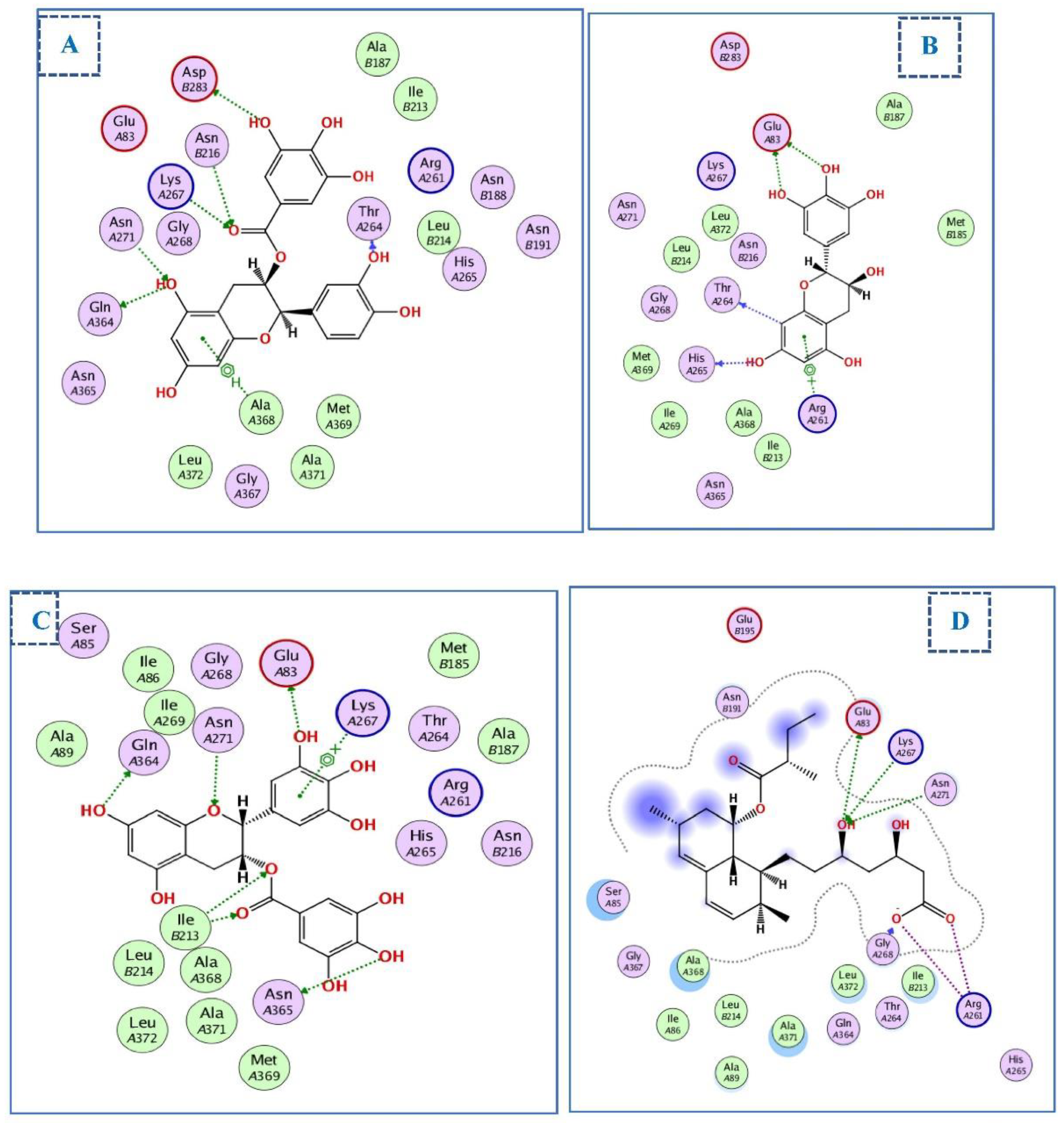 Ijms 23 12200 g007 Ijms 23 12200 g007