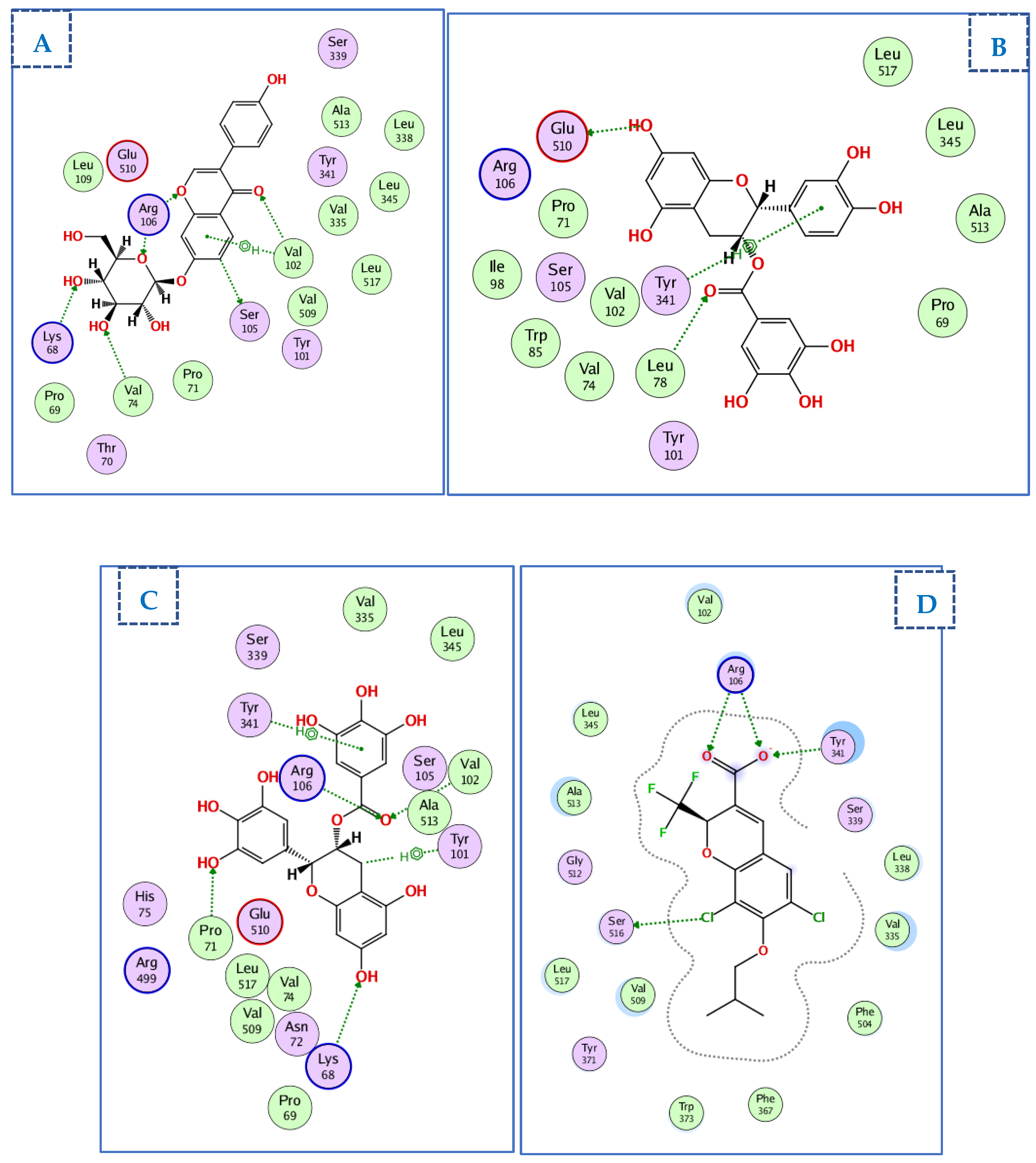 Ijms 23 12200 g008 Ijms 23 12200 g008
