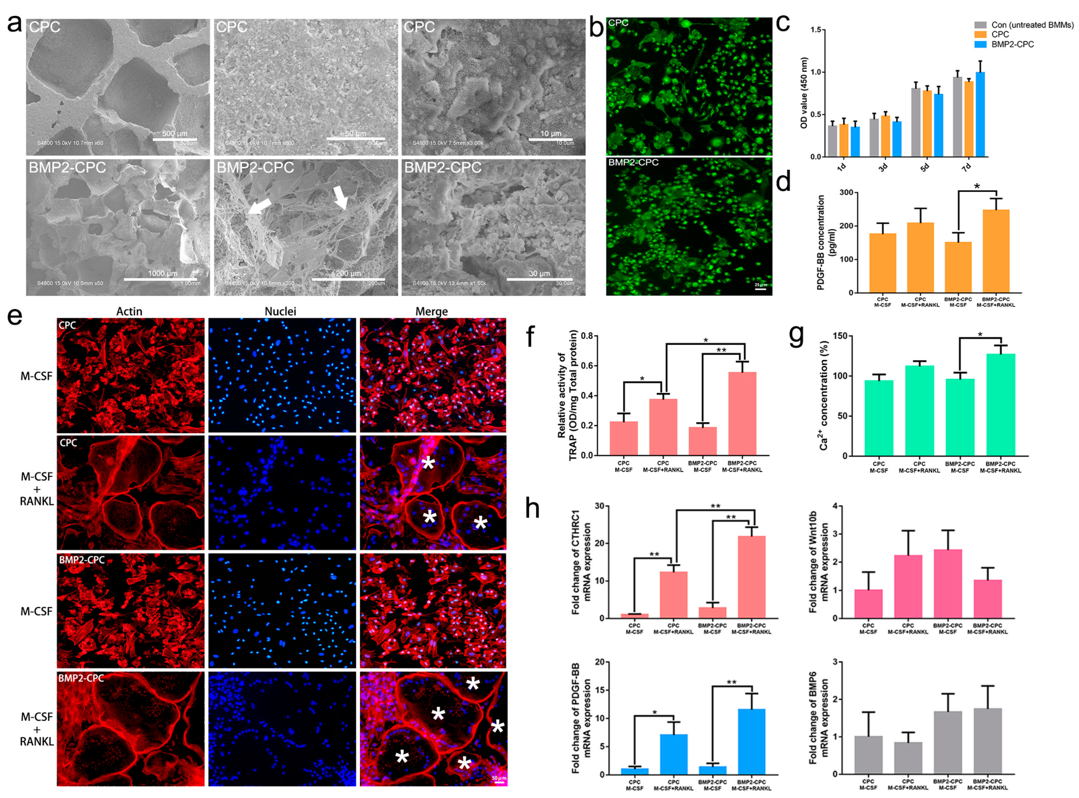 Ijms 23 12204 g003 Ijms 23 12204 g003