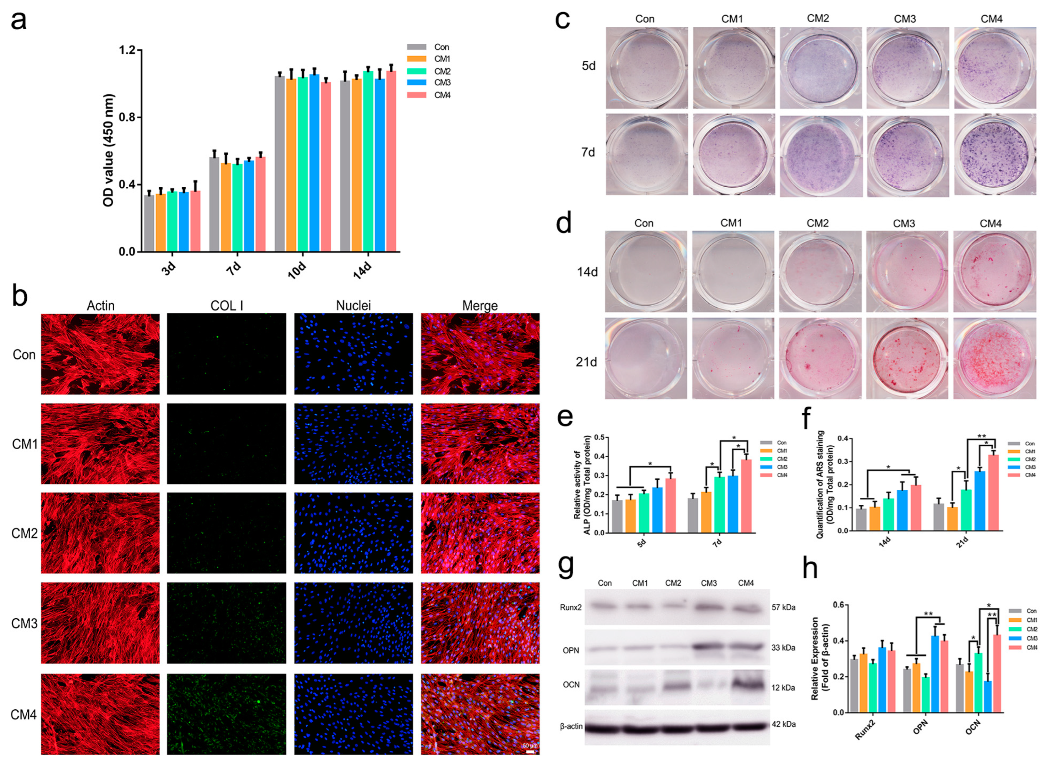 Ijms 23 12204 g004 Ijms 23 12204 g004