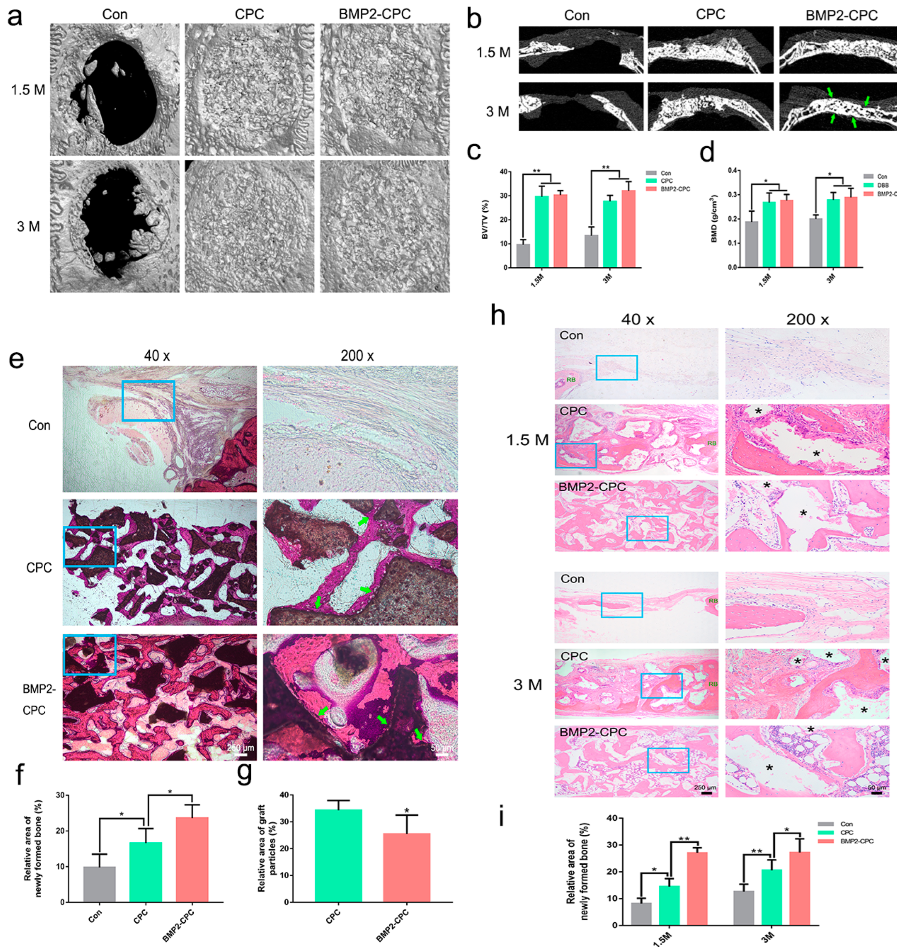 Ijms 23 12204 g005 Ijms 23 12204 g005