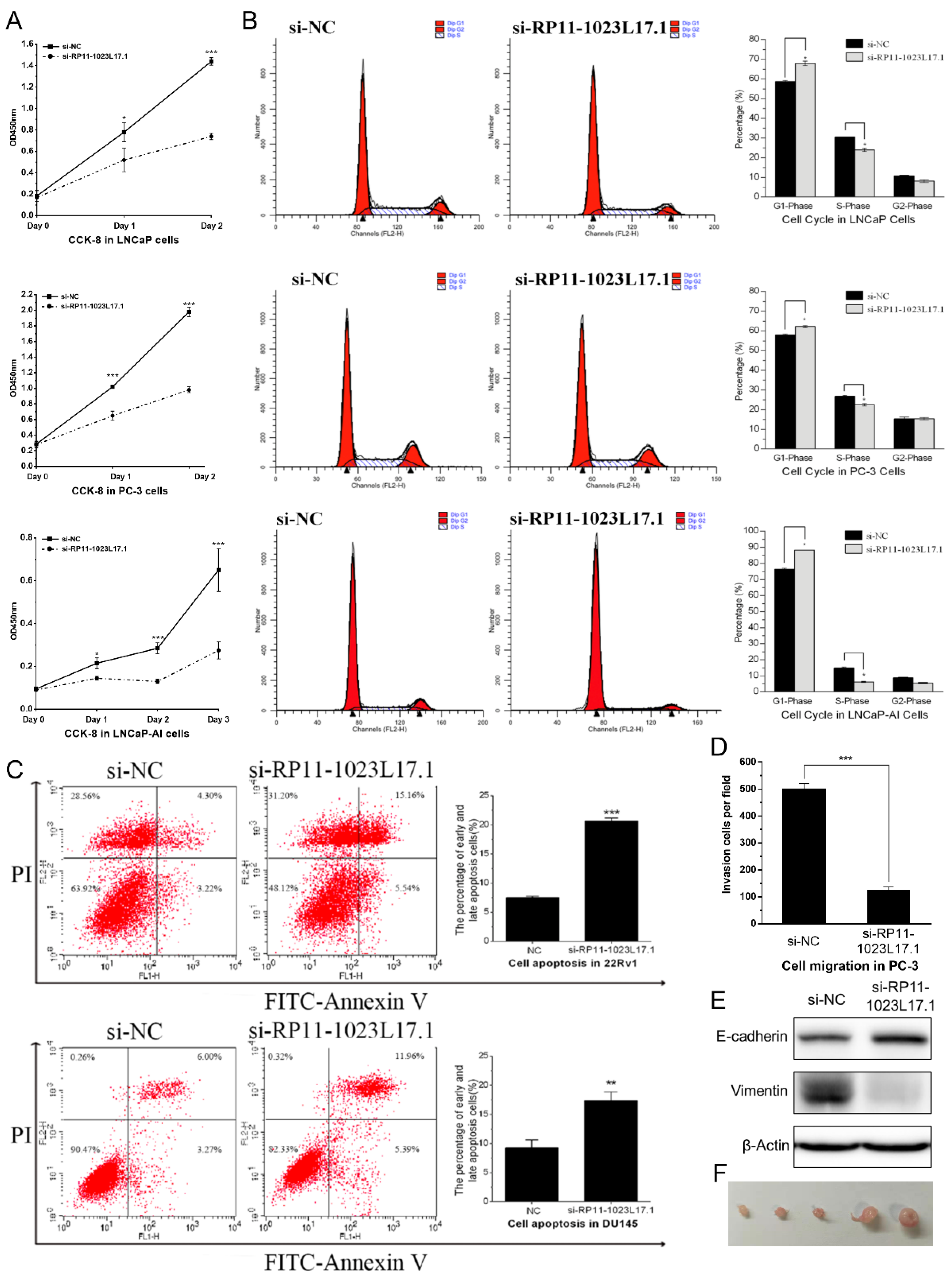 Ijms 23 12219 g003 Ijms 23 12219 g003