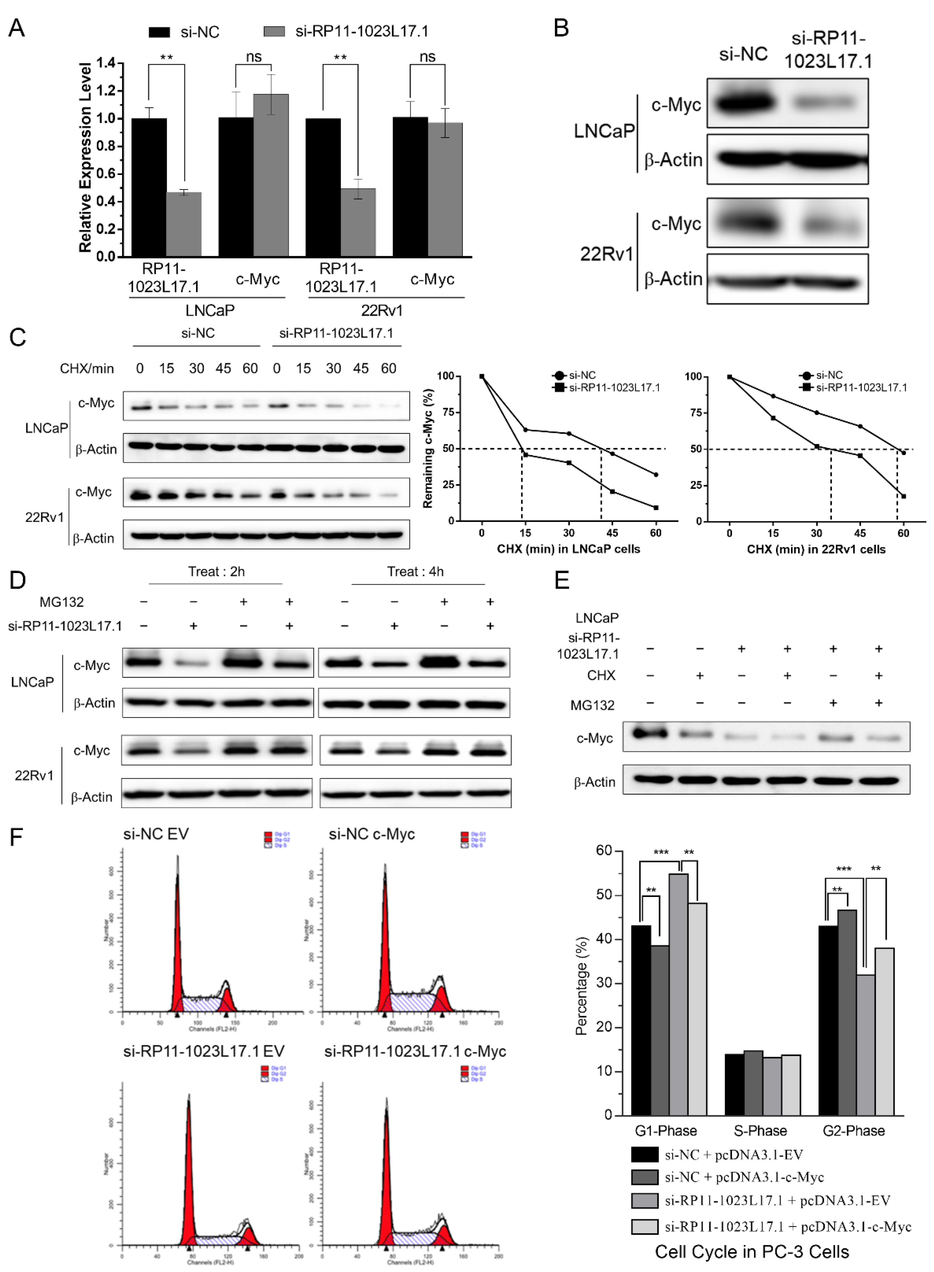 Ijms 23 12219 g004 Ijms 23 12219 g004