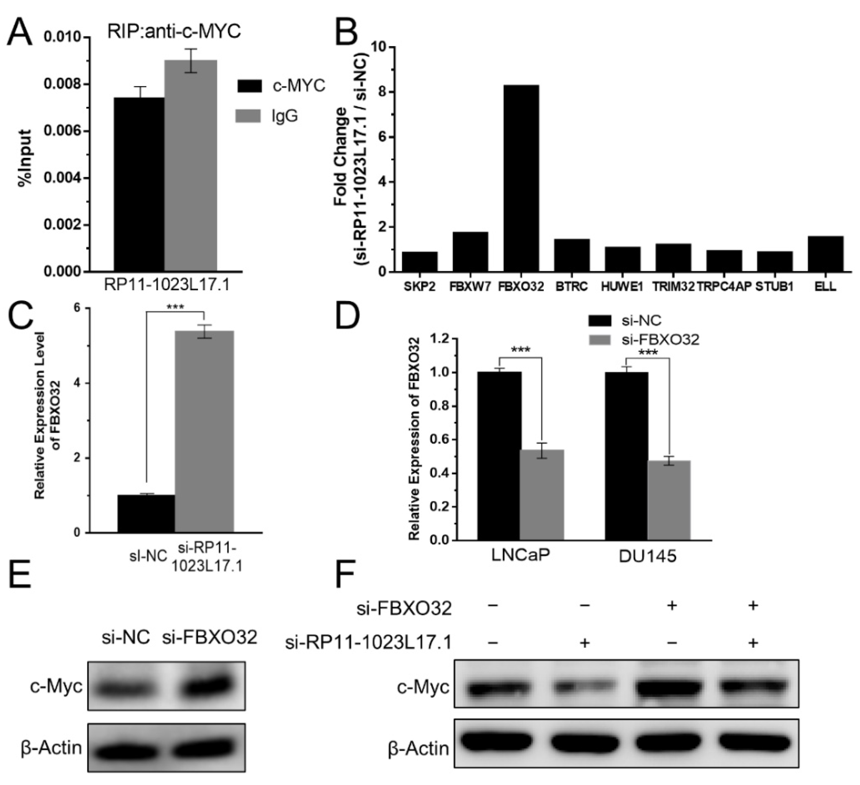 Ijms 23 12219 g005 Ijms 23 12219 g005