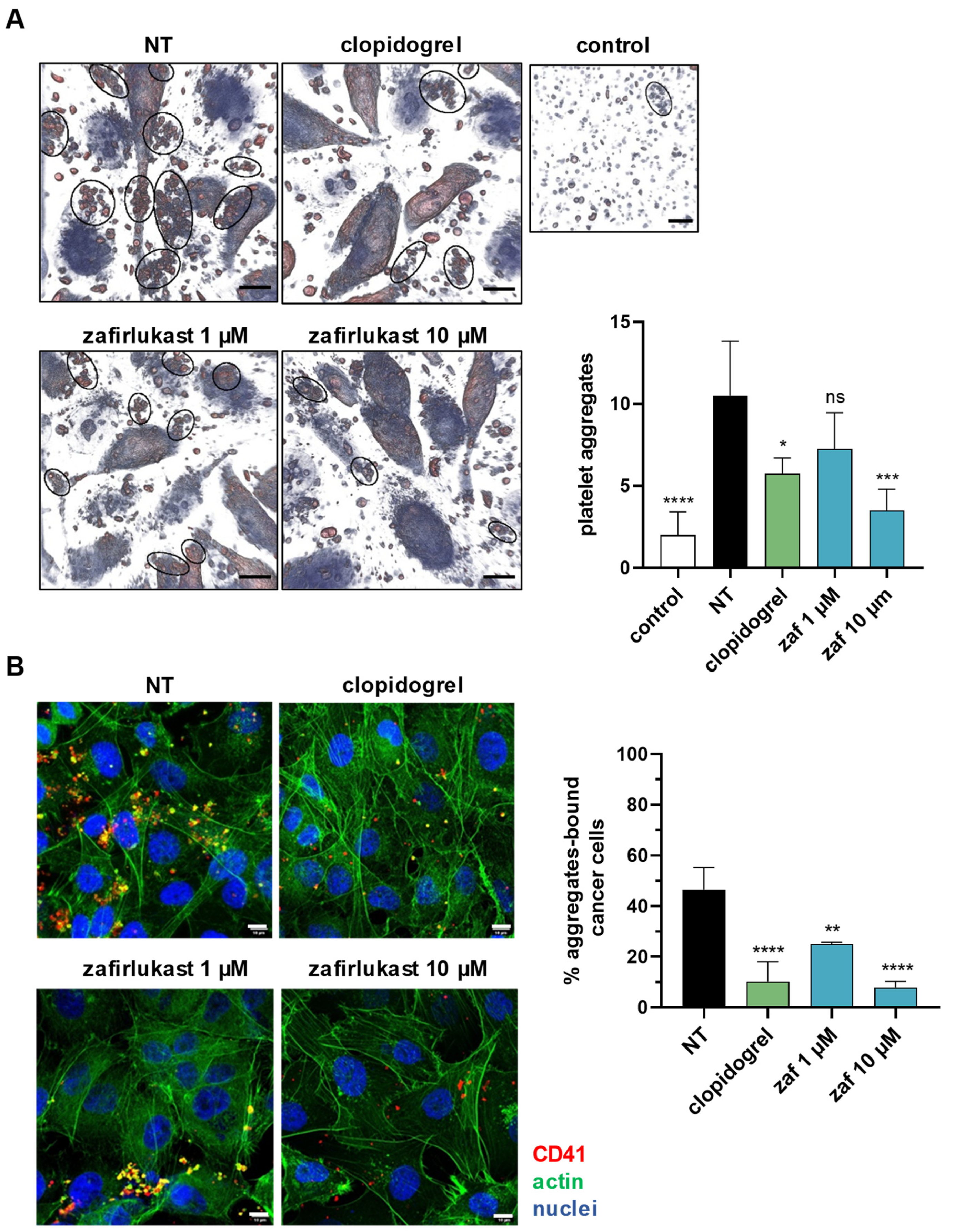 Ijms 23 12221 g004 Ijms 23 12221 g004
