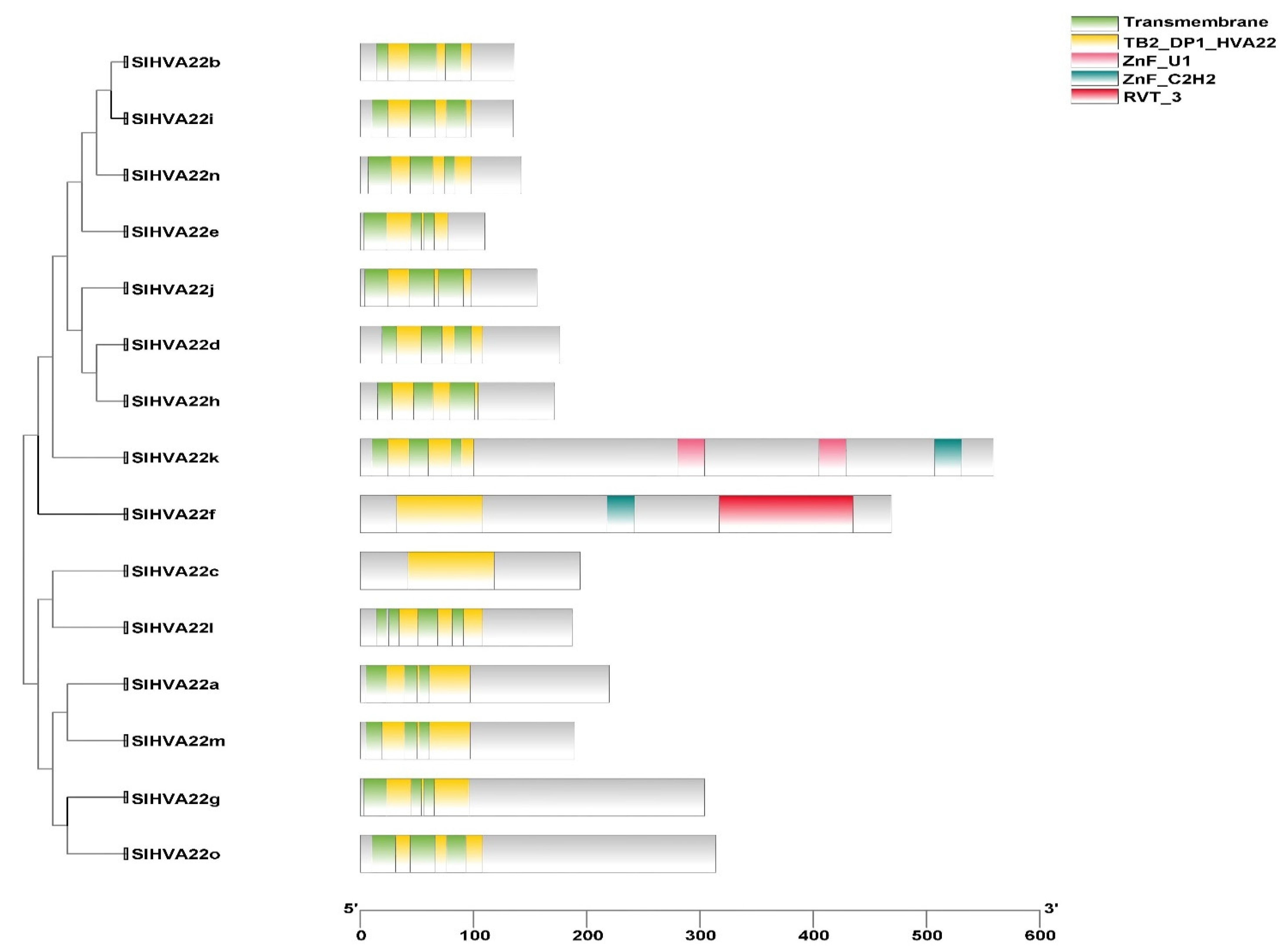 Ijms 23 12222 g002 Ijms 23 12222 g002