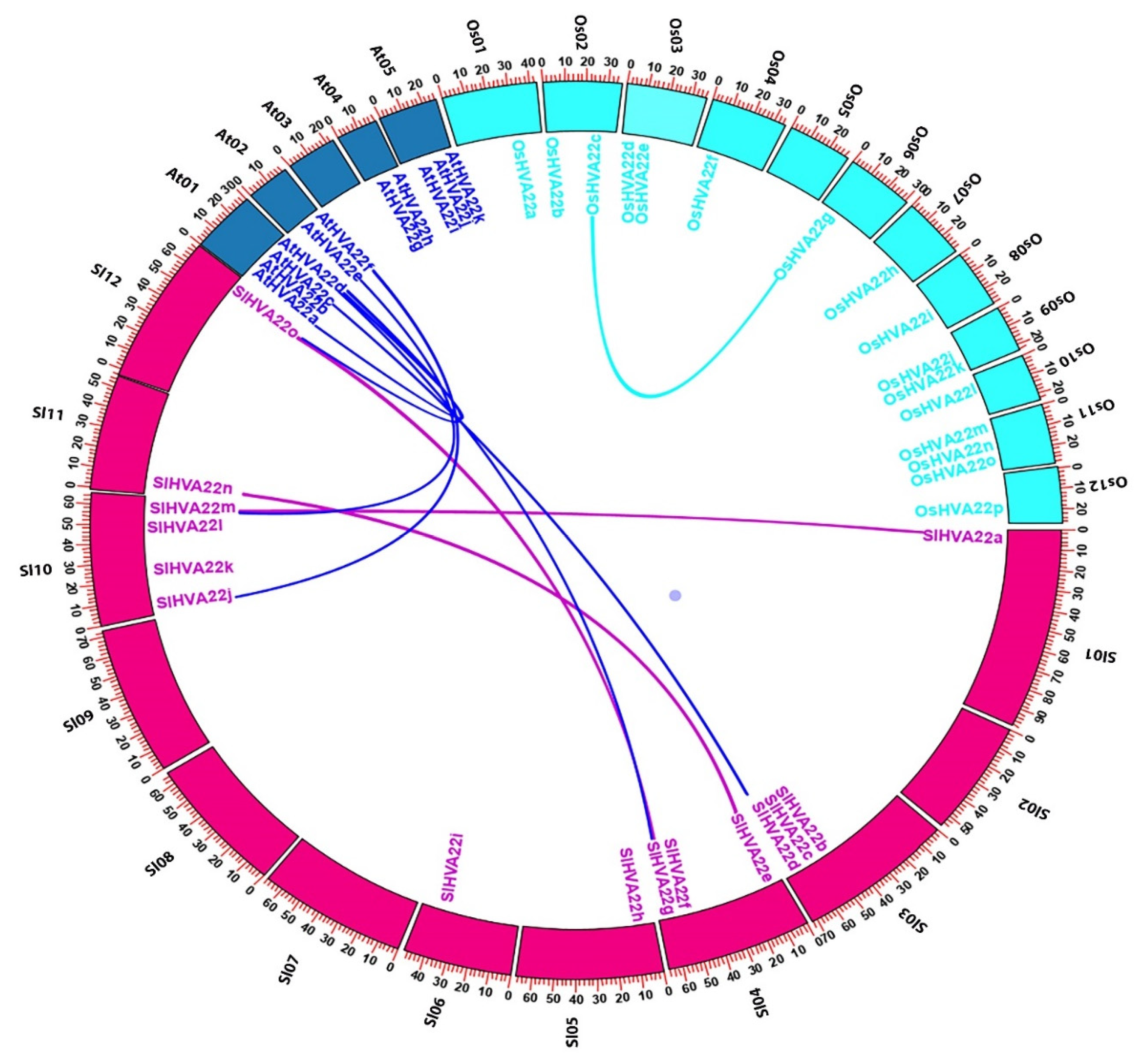 Ijms 23 12222 g004 Ijms 23 12222 g004