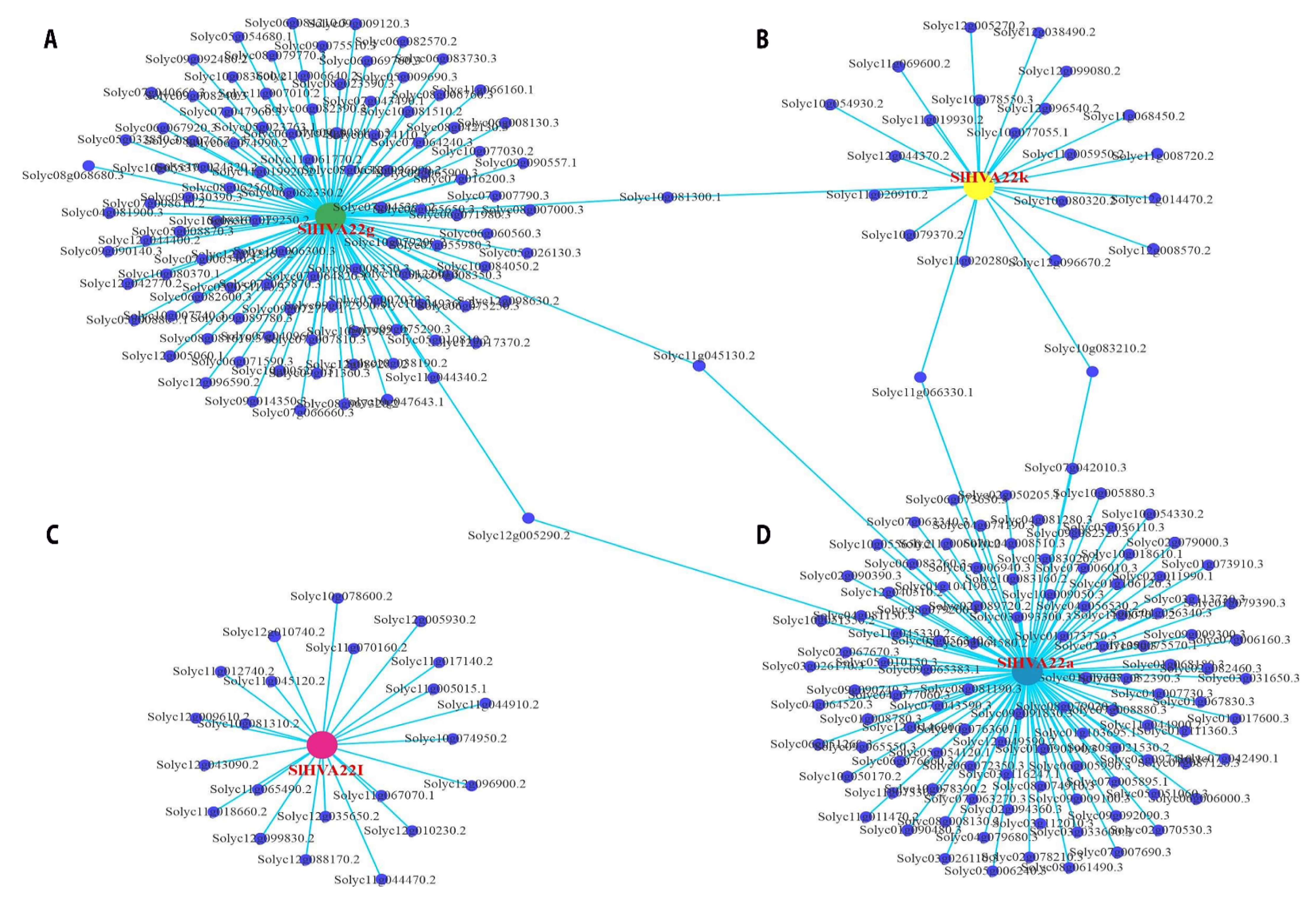 Ijms 23 12222 g006 Ijms 23 12222 g006