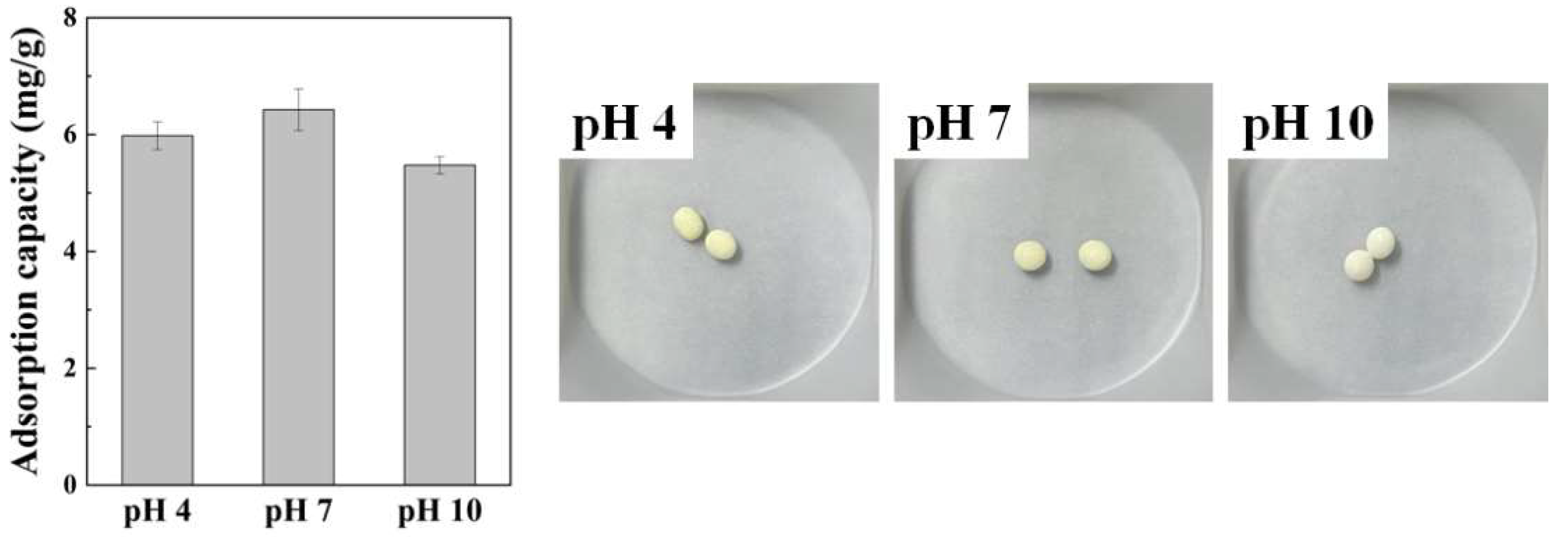 Ijms 23 12225 g008 Ijms 23 12225 g008