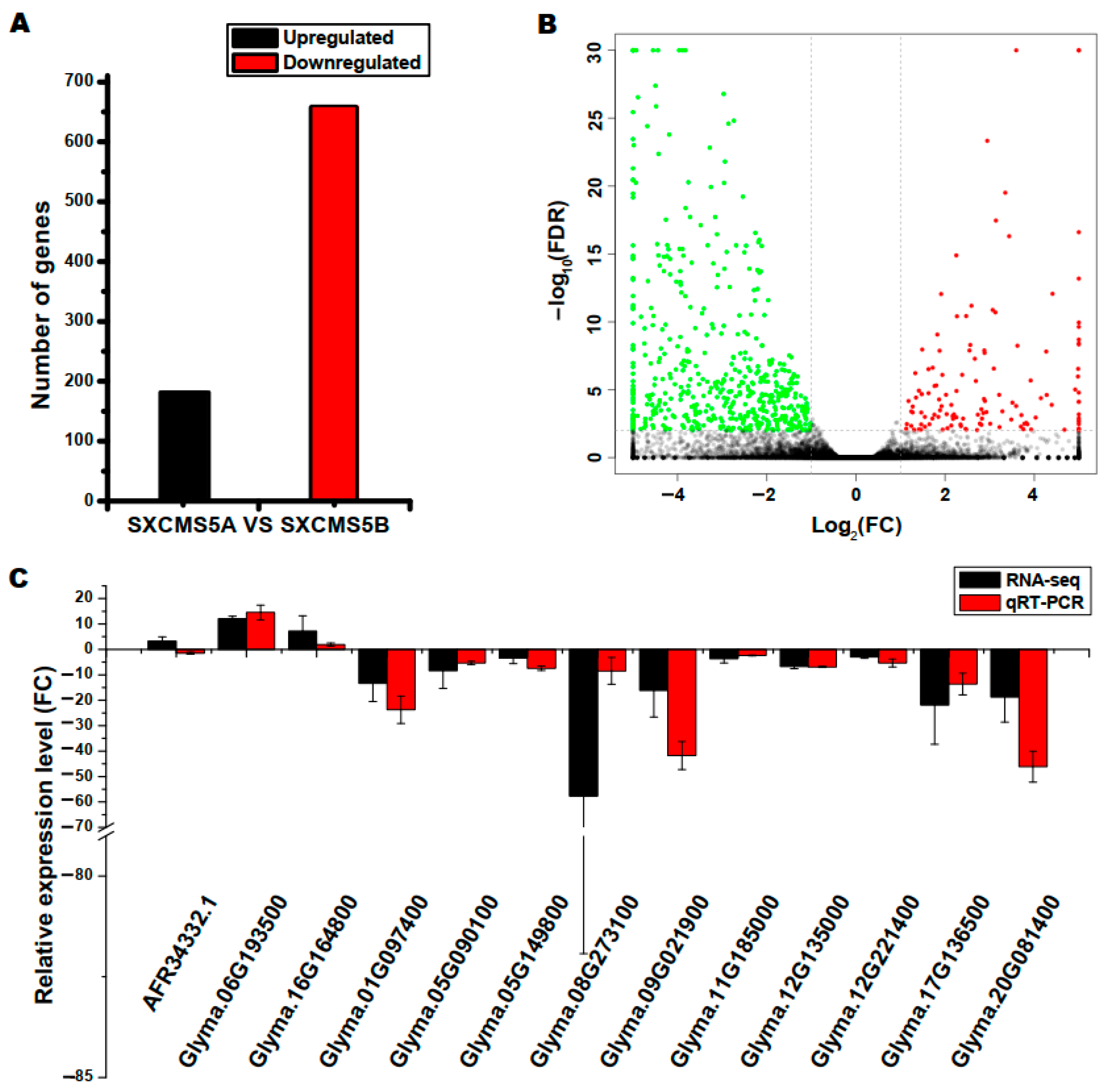 Ijms 23 12227 g002 Ijms 23 12227 g002