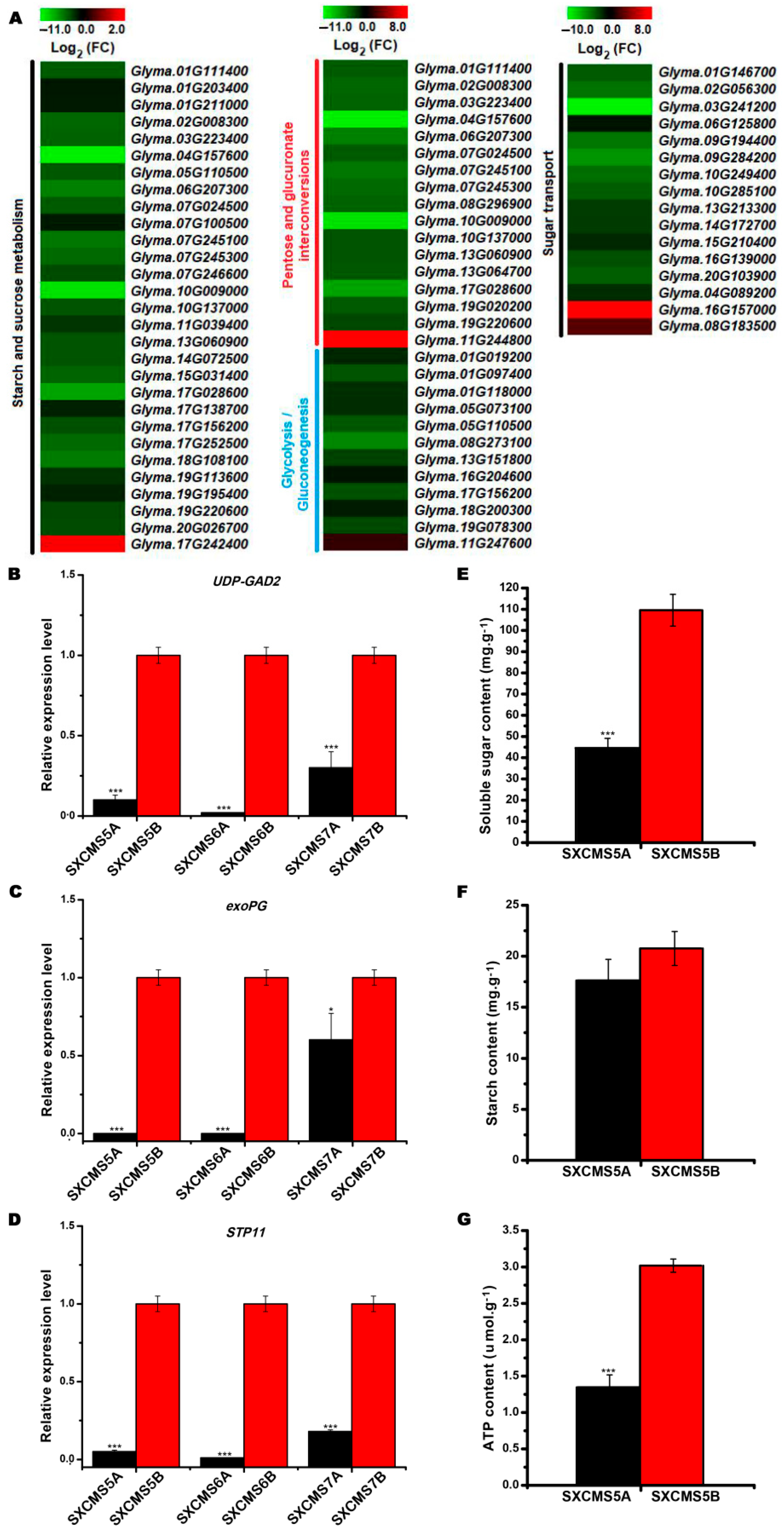 Ijms 23 12227 g006 Ijms 23 12227 g006