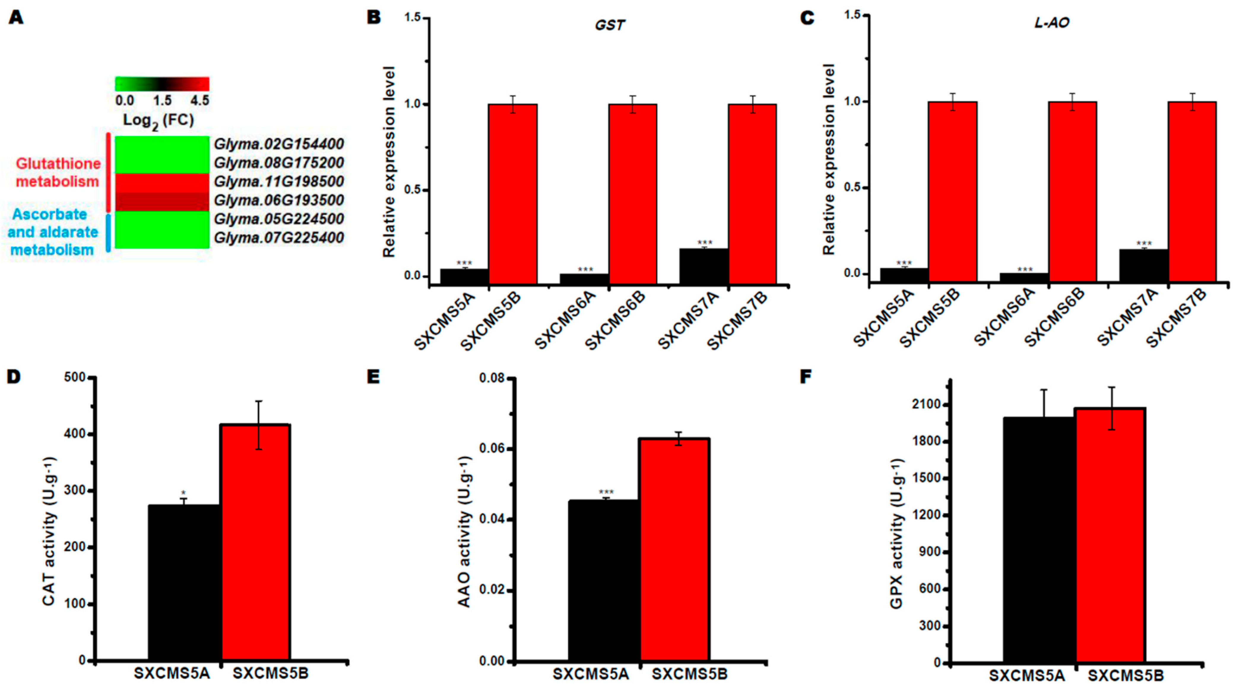 Ijms 23 12227 g007 Ijms 23 12227 g007