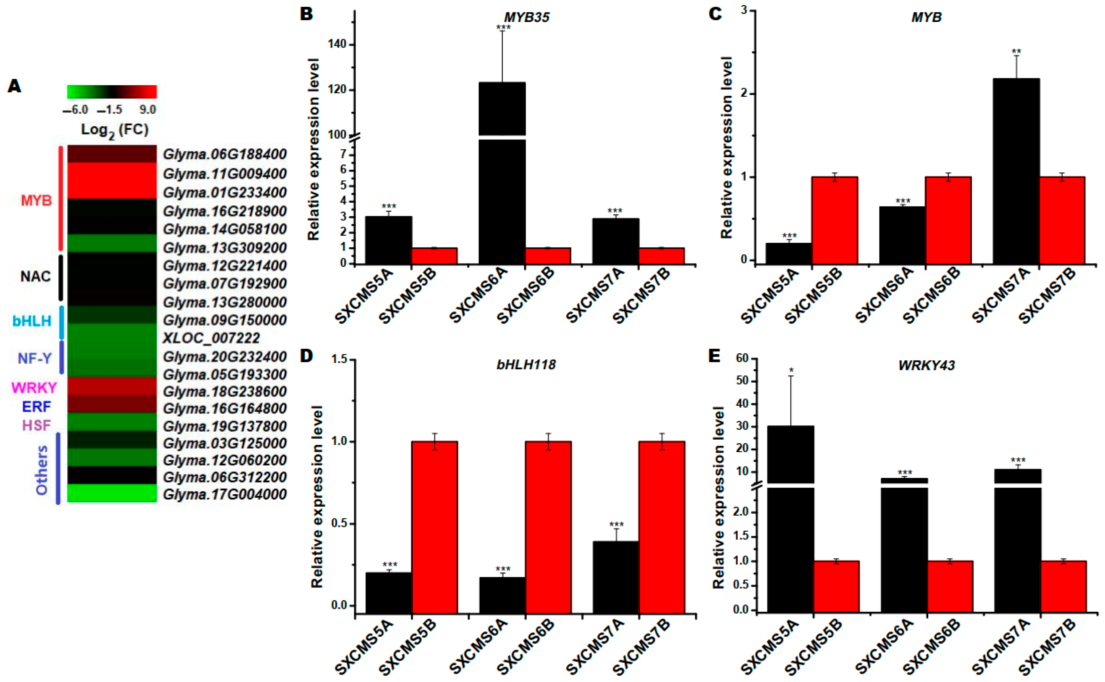 Ijms 23 12227 g008 Ijms 23 12227 g008
