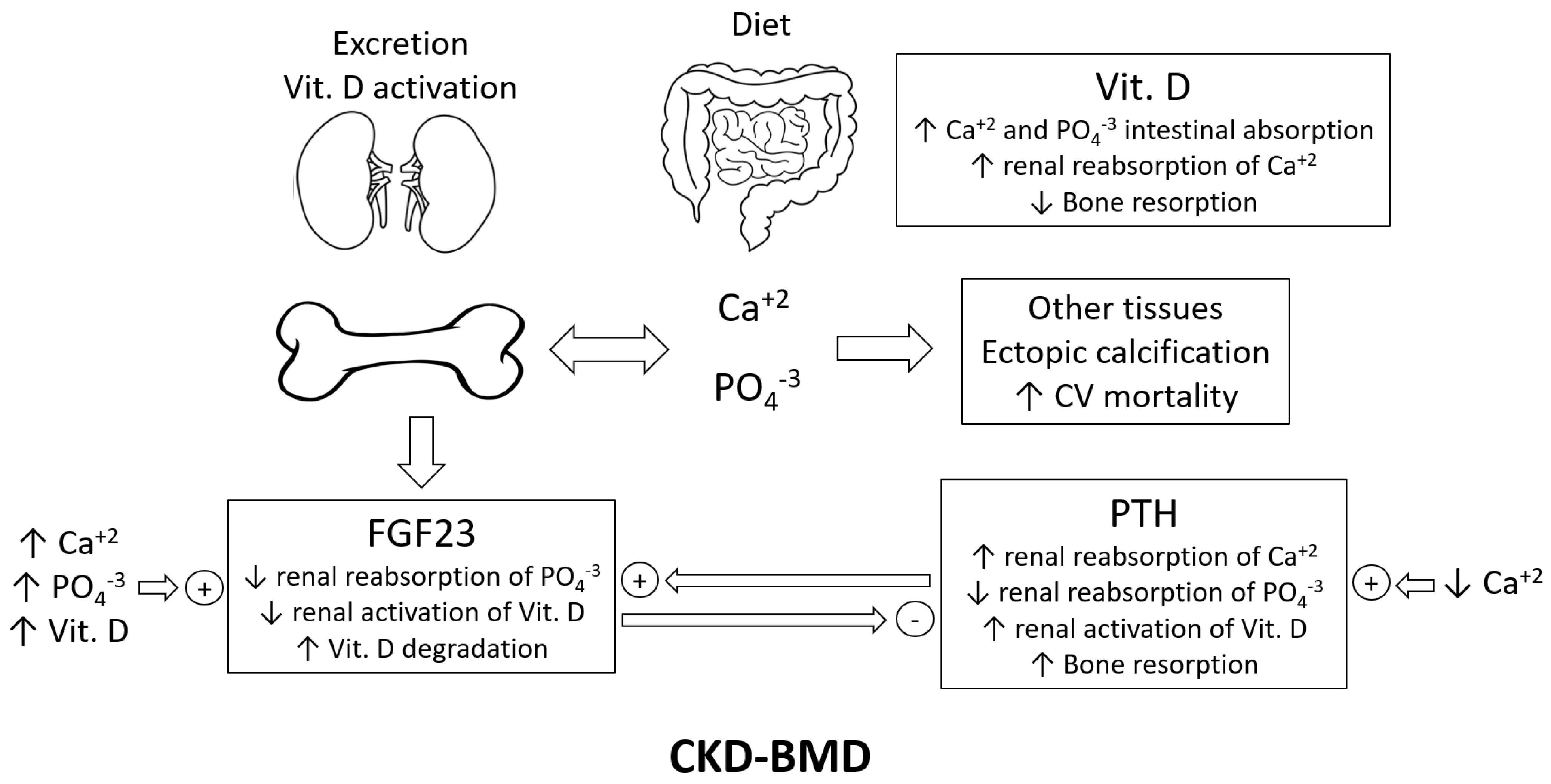 Ijms 23 12228 g001 Ijms 23 12228 g001