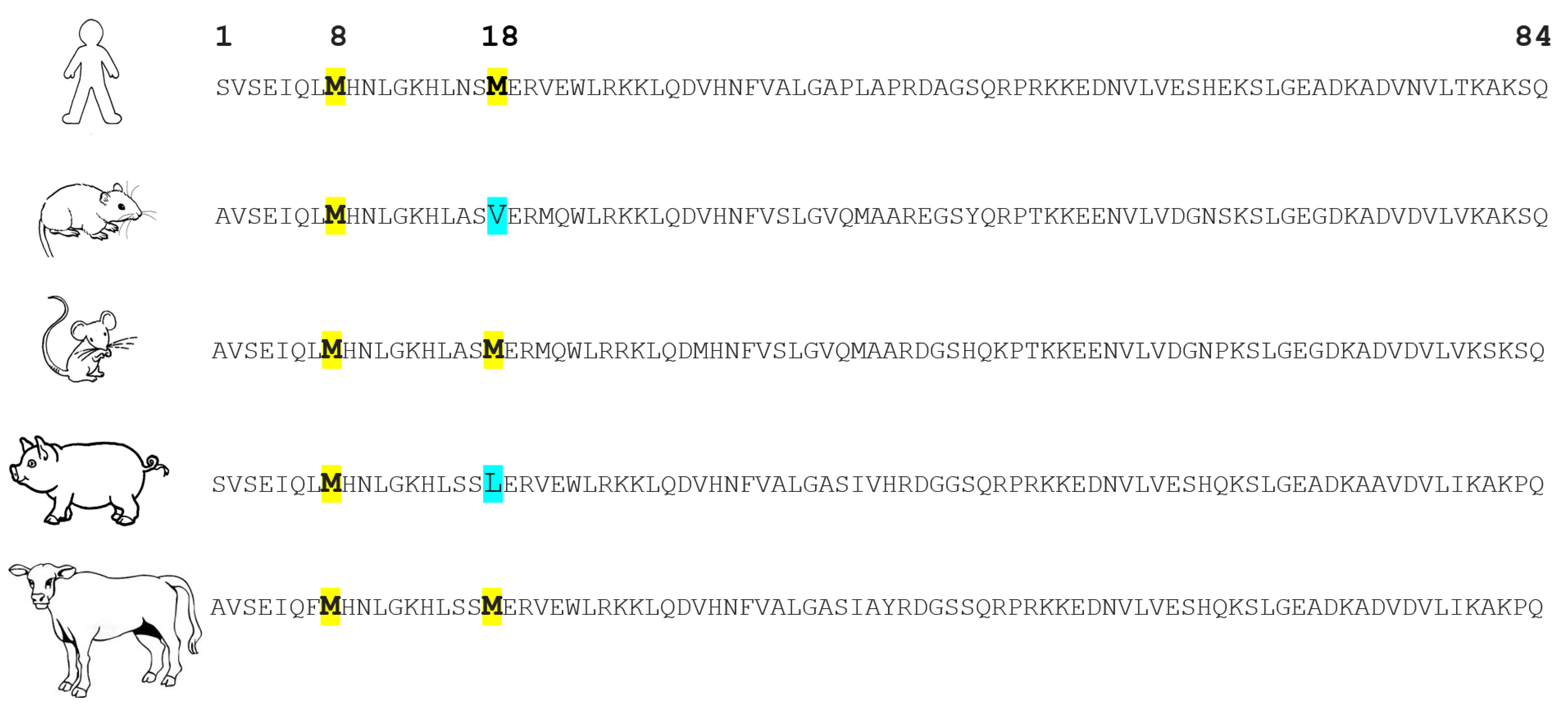 Ijms 23 12228 g002 Ijms 23 12228 g002