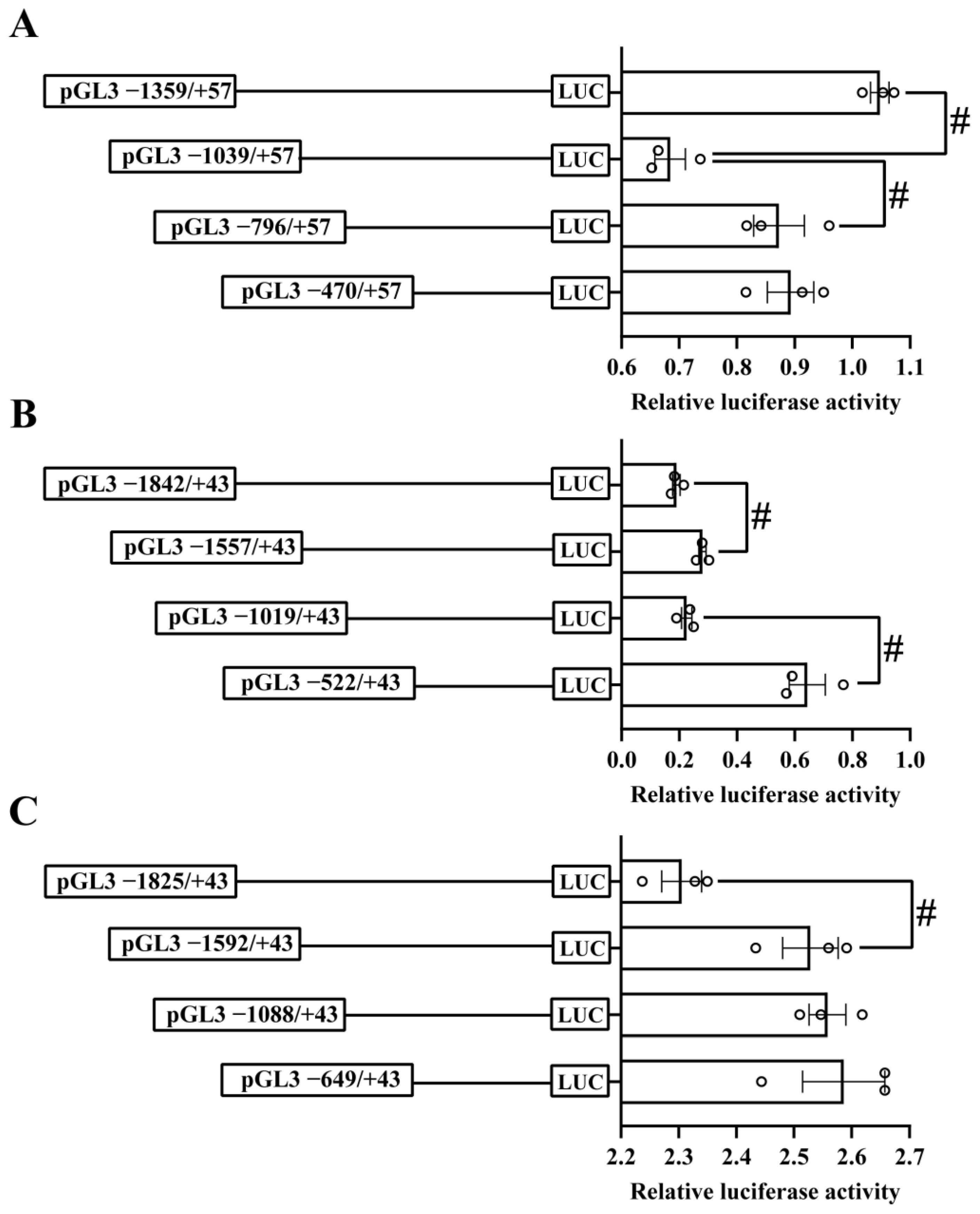 Ijms 23 12243 g001 Ijms 23 12243 g001