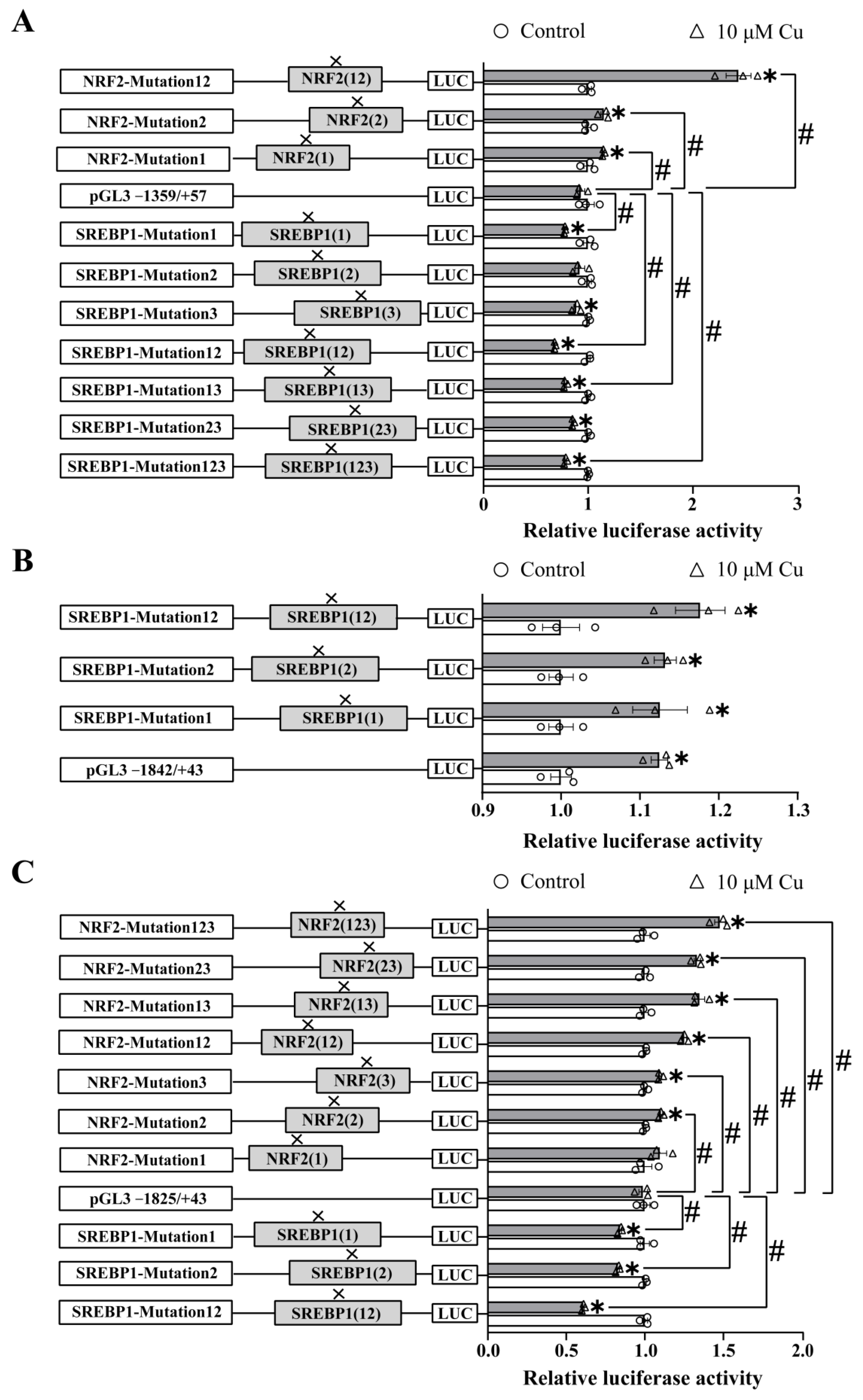 Ijms 23 12243 g003 Ijms 23 12243 g003