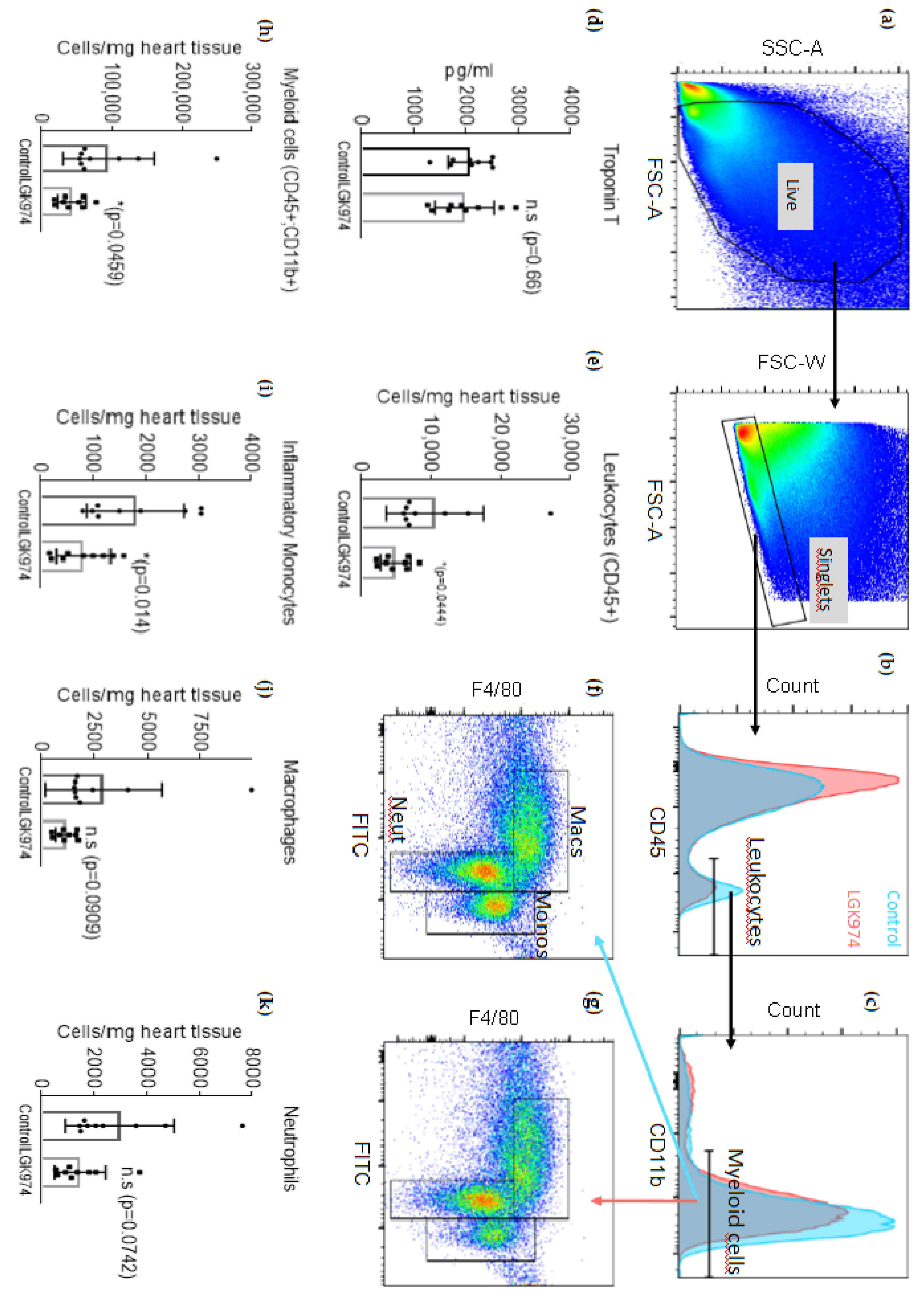 Ijms 23 12252 g003 Ijms 23 12252 g003