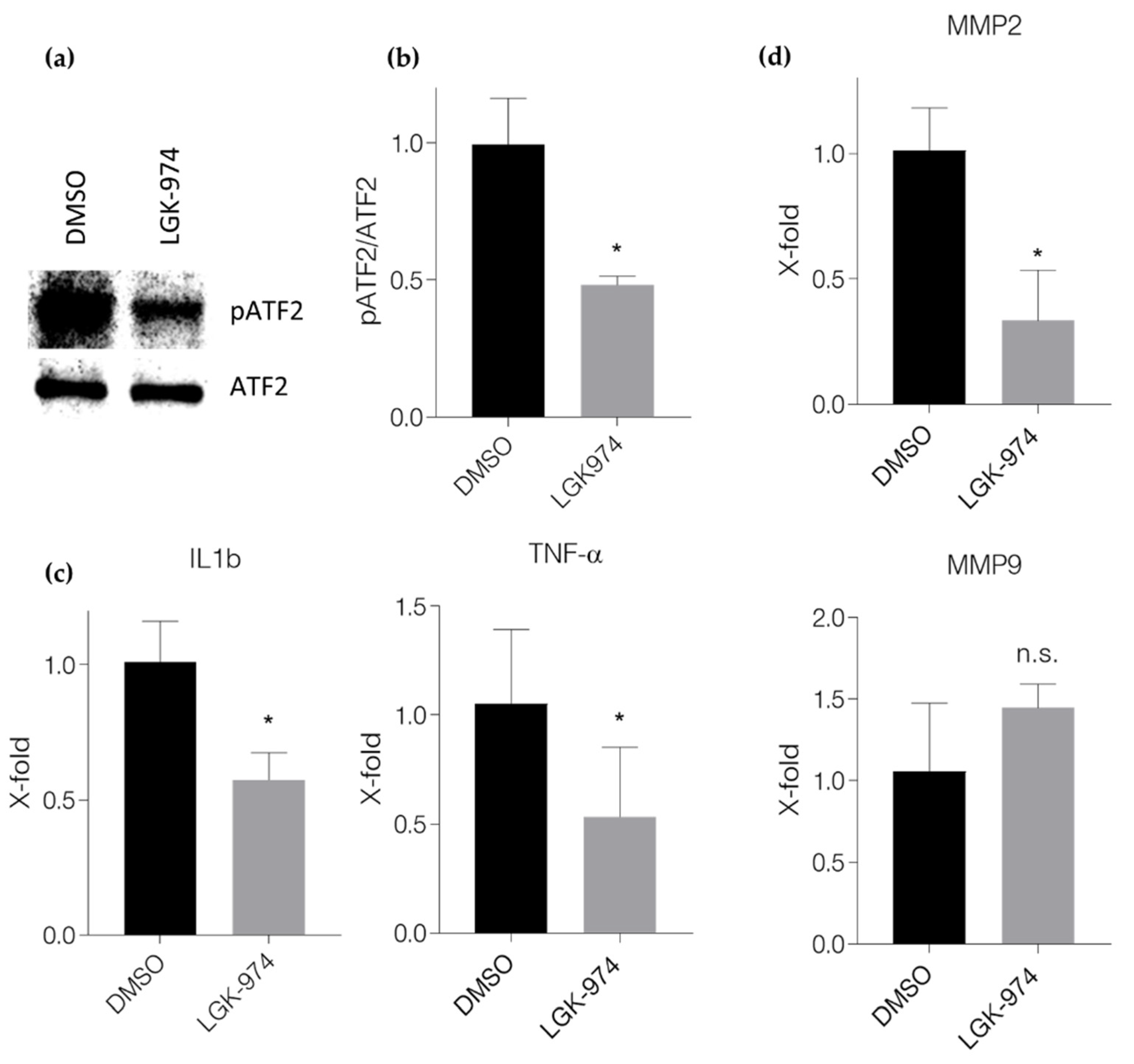 Ijms 23 12252 g005 Ijms 23 12252 g005
