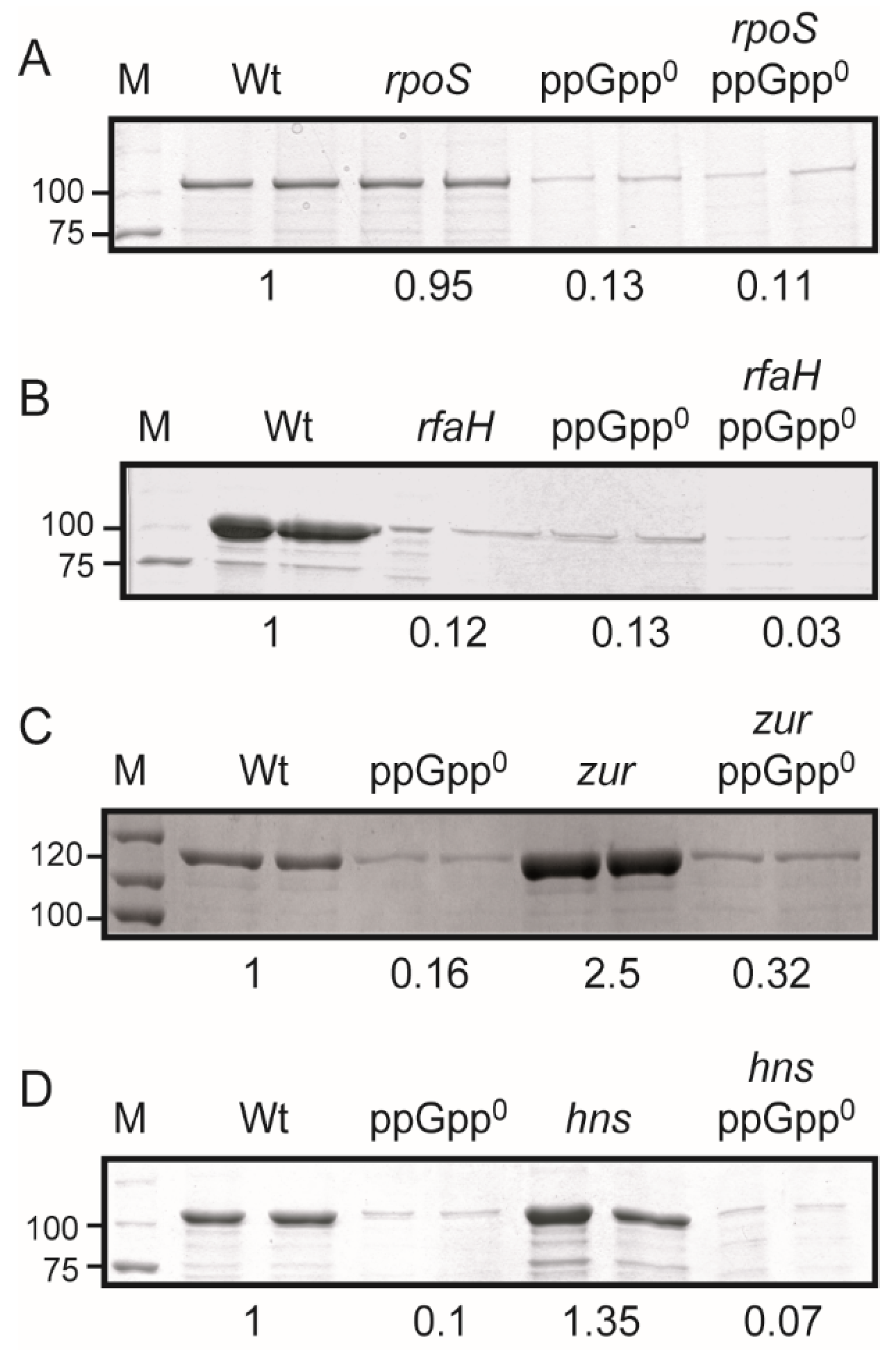 Ijms 23 12256 g004 Ijms 23 12256 g004