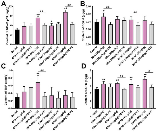 IJMS | Free Full-Text | Individual And Combined Effect Of Bisphenol A ...