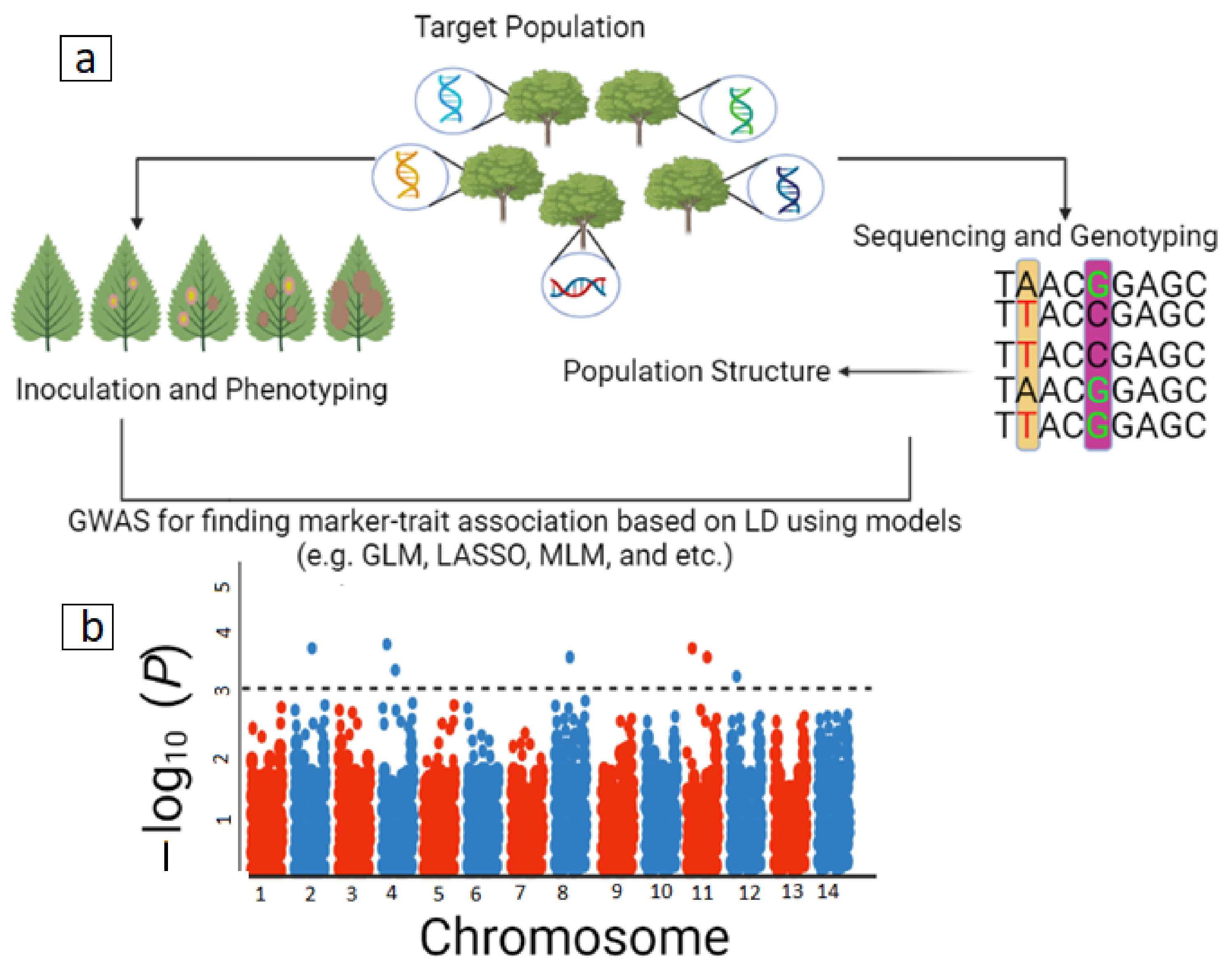 Ijms 23 12315 g002 Ijms 23 12315 g002