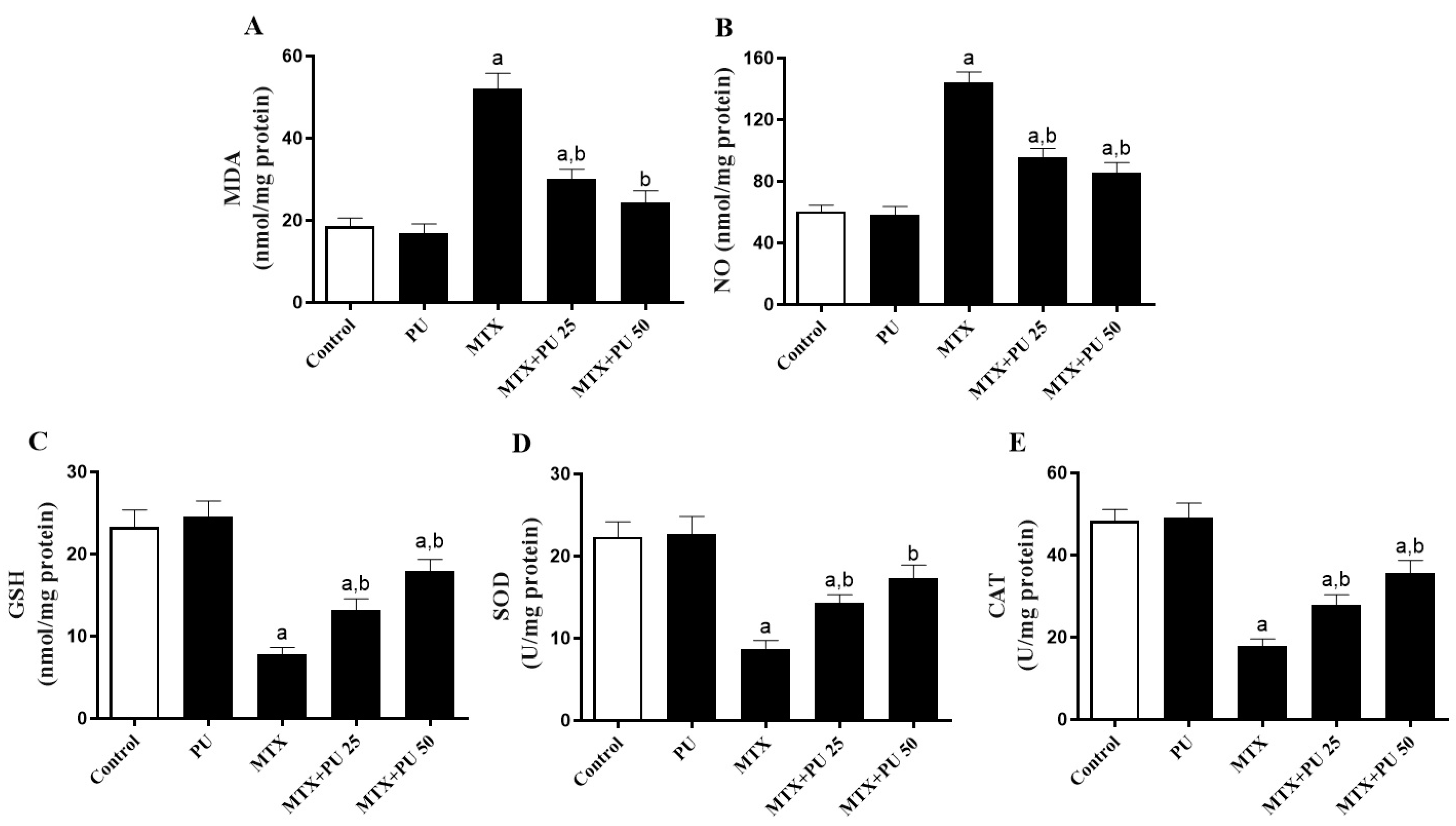 Ijms 23 12334 g003 Ijms 23 12334 g003