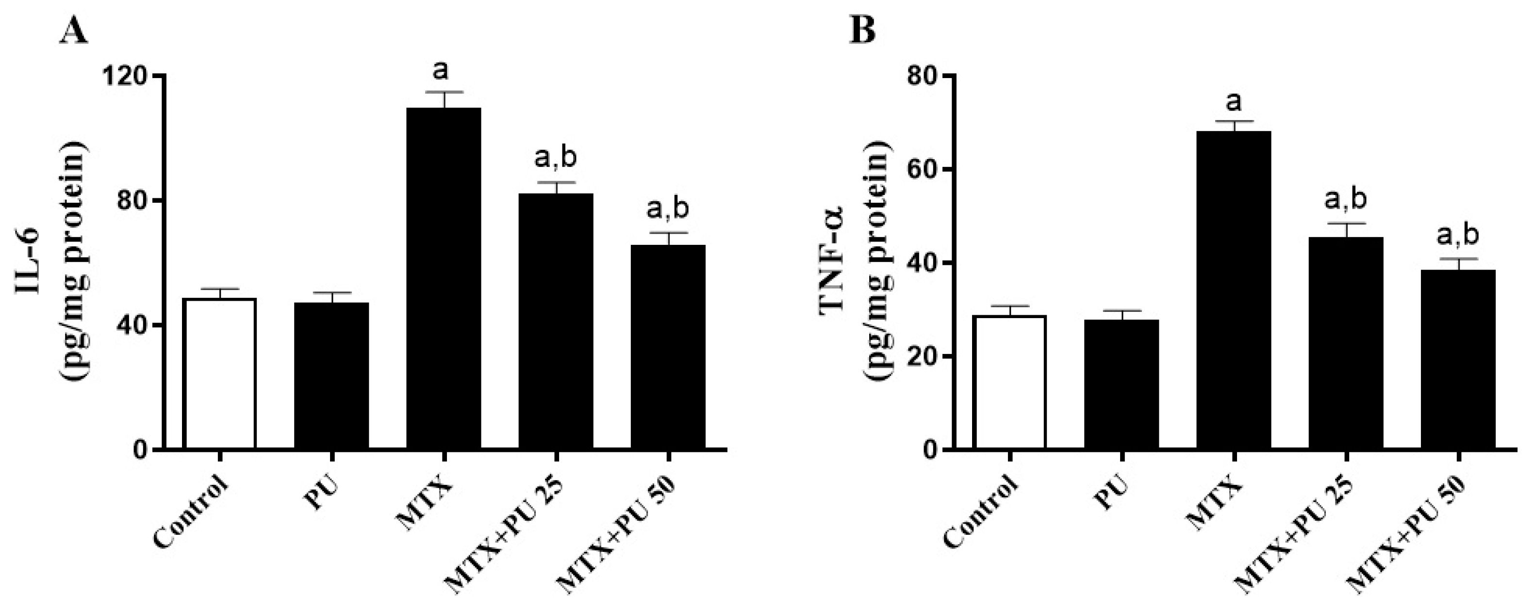 Ijms 23 12334 g005 Ijms 23 12334 g005