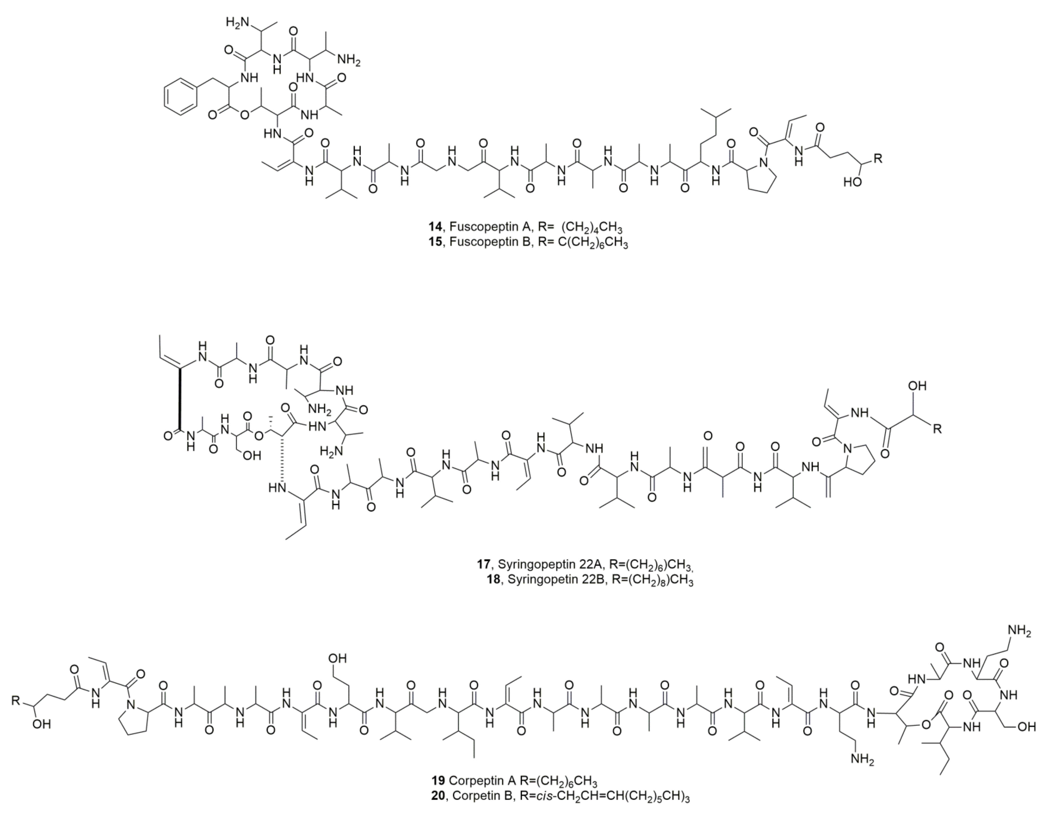 Ijms 23 12342 g004 Ijms 23 12342 g004