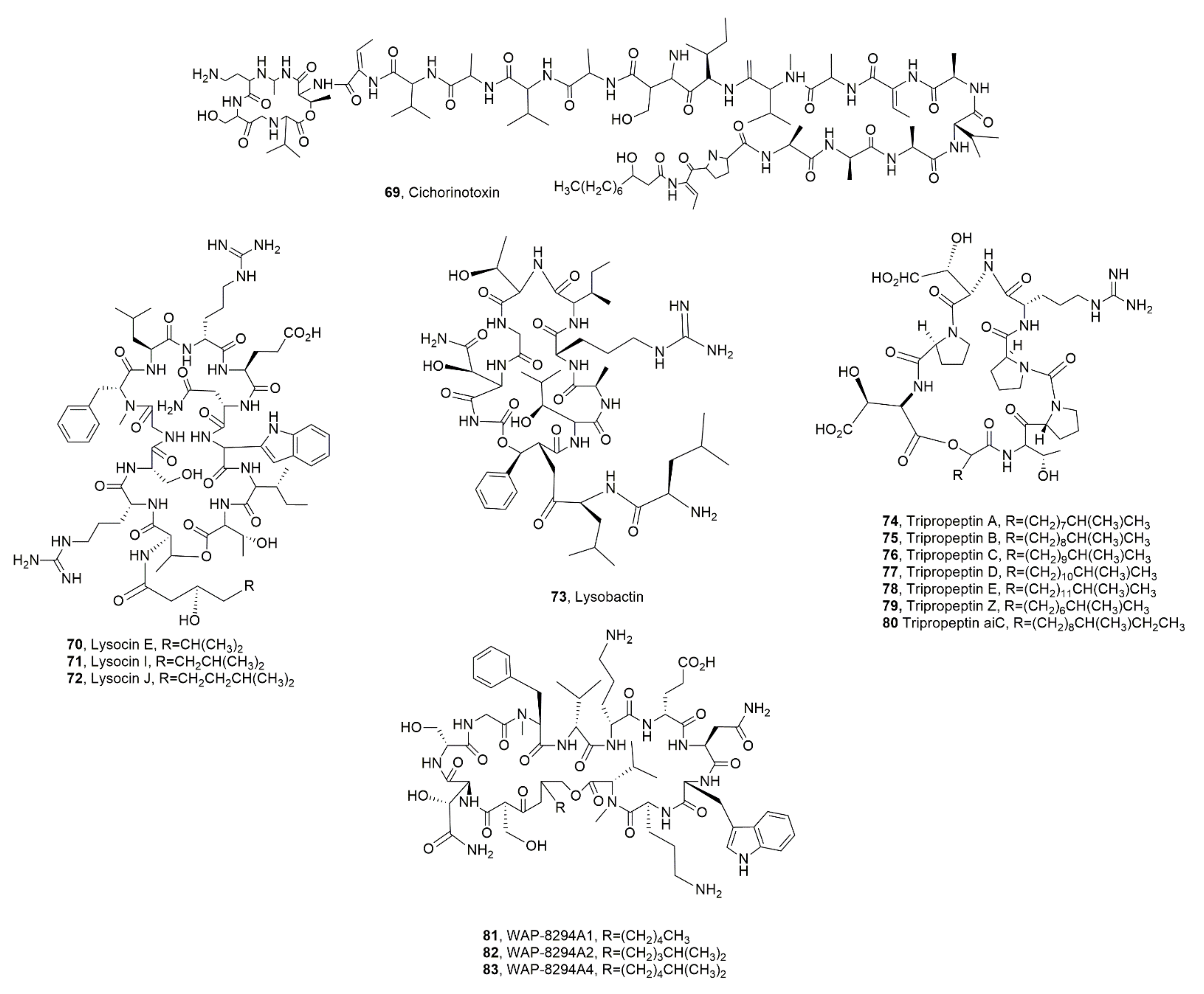 Ijms 23 12342 g009 Ijms 23 12342 g009