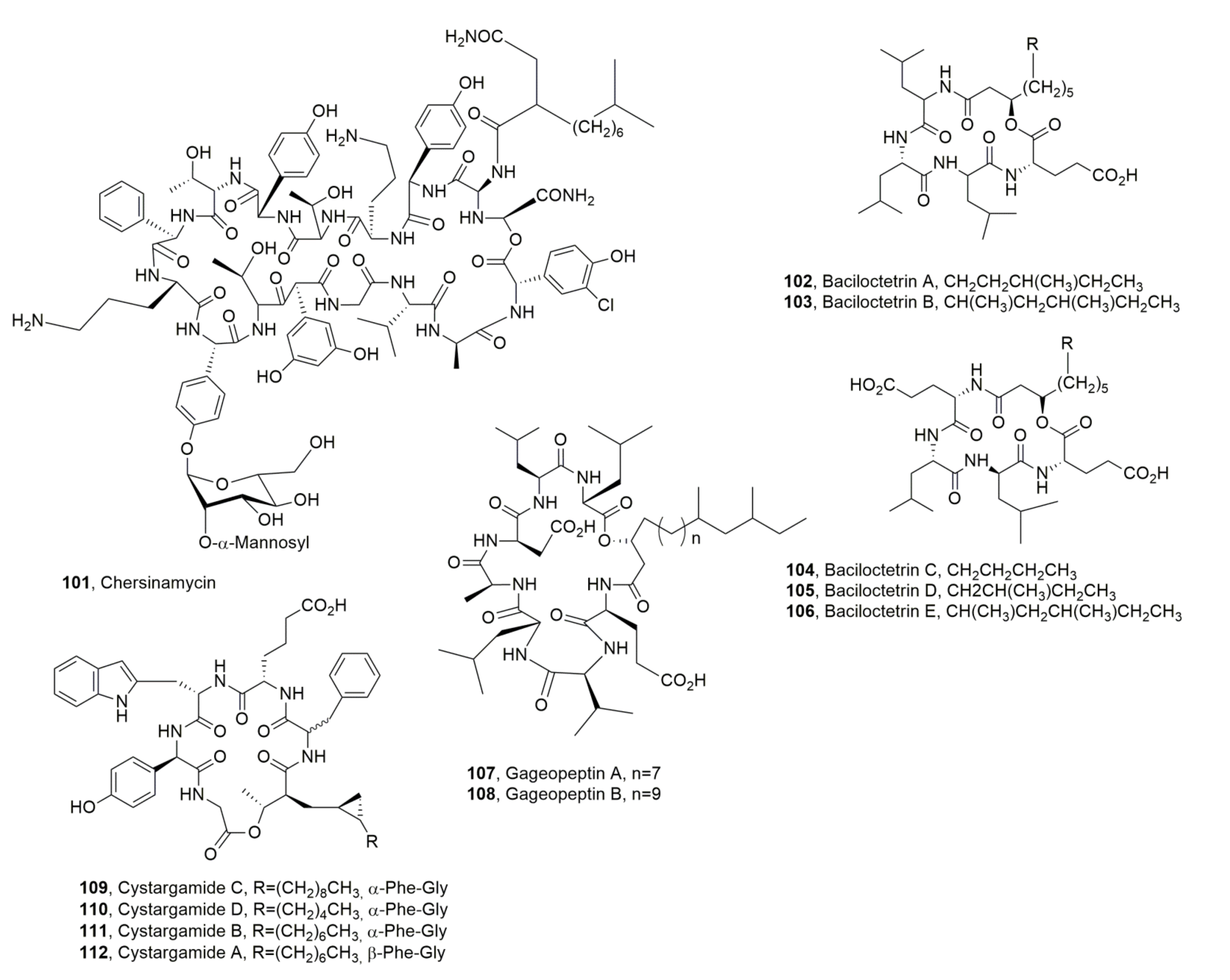 Ijms 23 12342 g012 Ijms 23 12342 g012