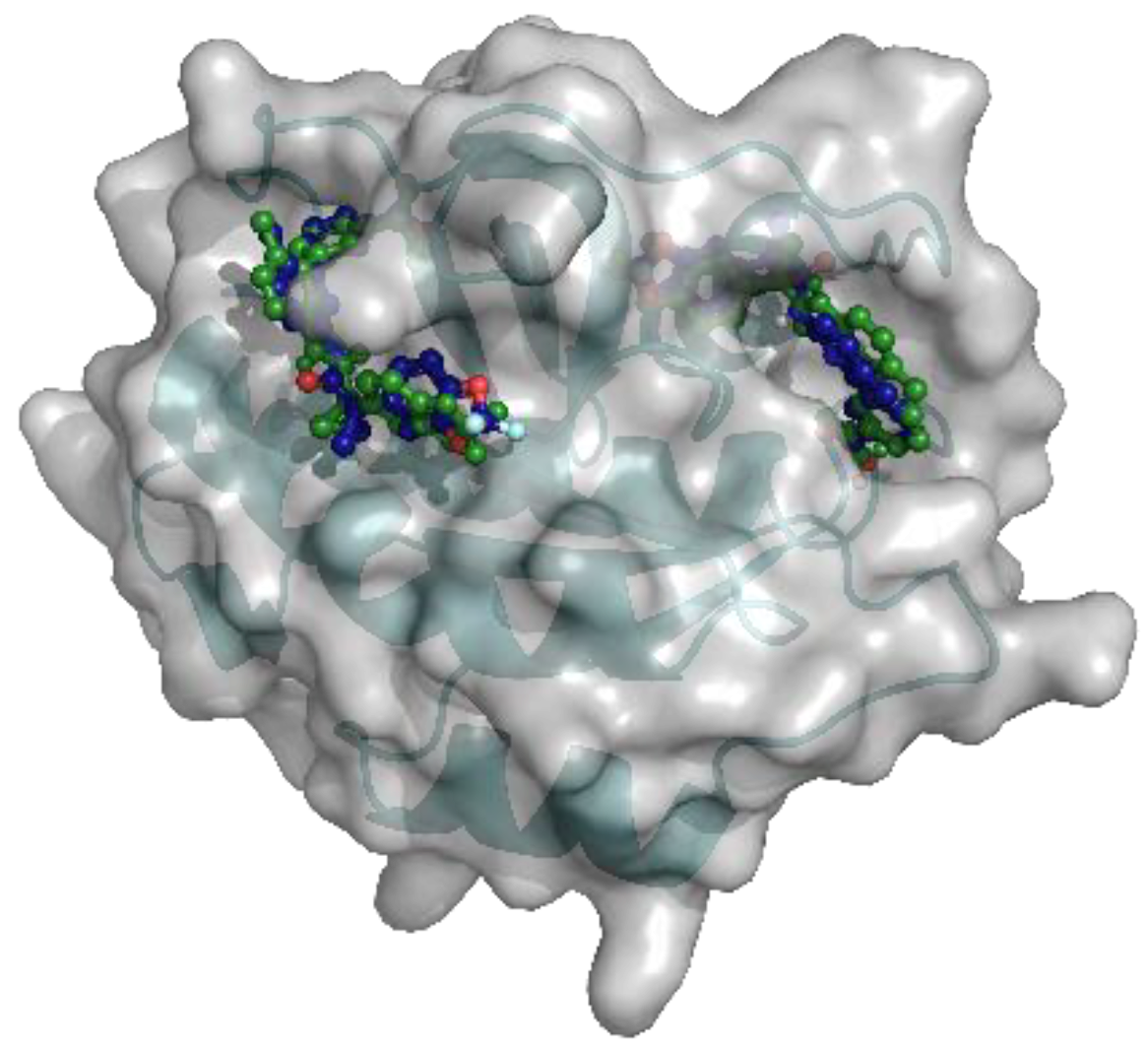 Ijms 23 12351 g005 Ijms 23 12351 g005