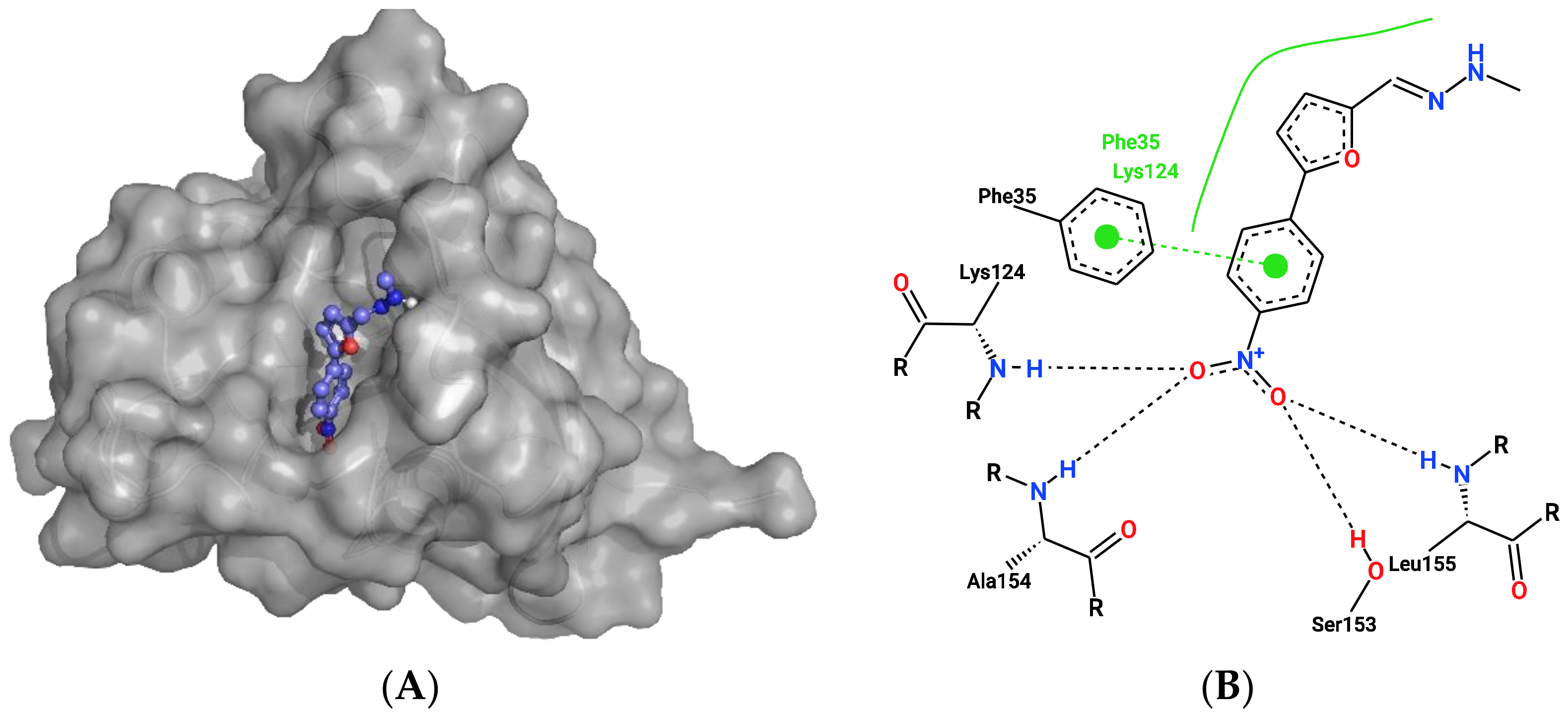 Ijms 23 12351 g007a Ijms 23 12351 g007a