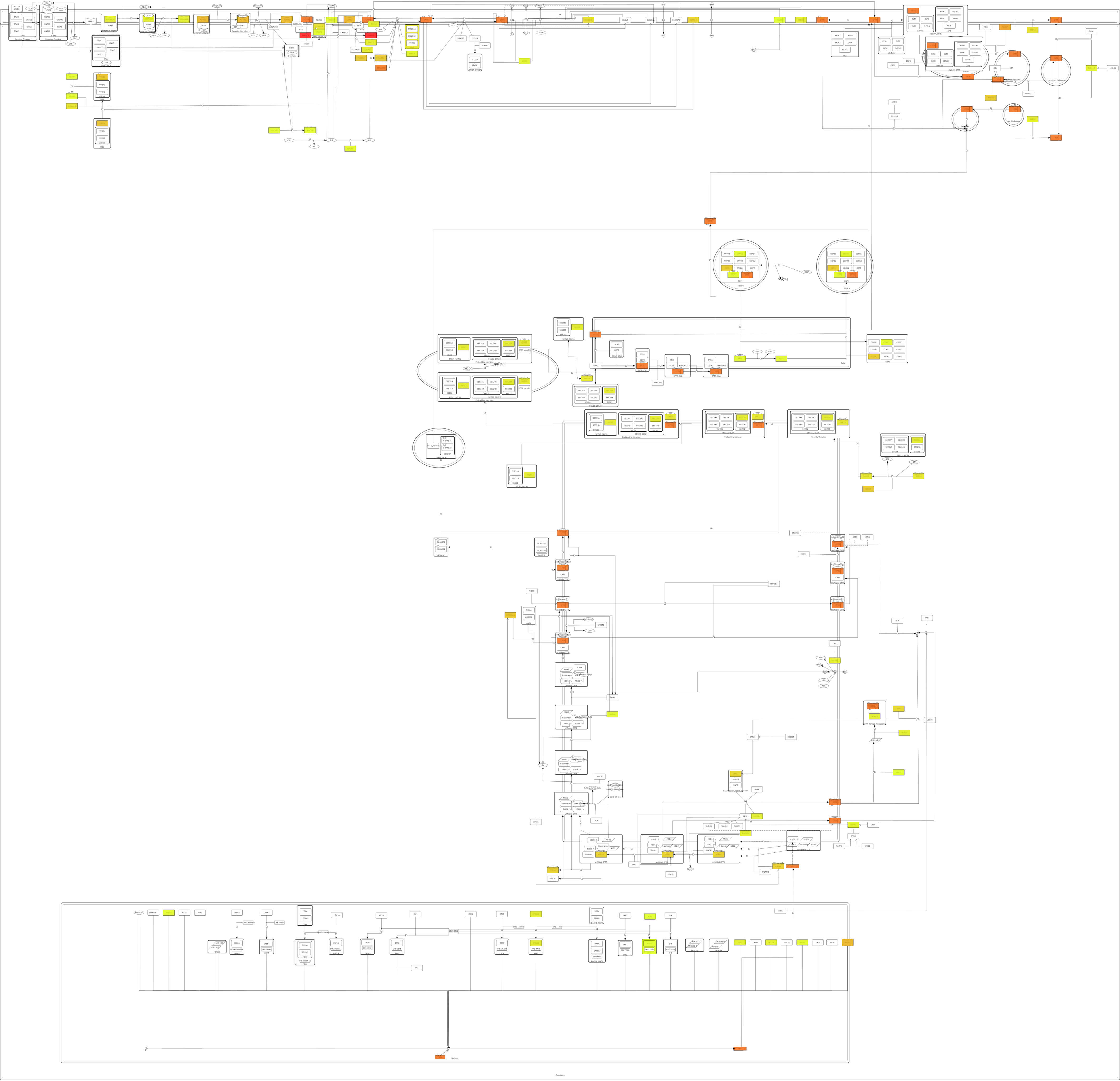 Ijms 23 12351 g011 Ijms 23 12351 g011