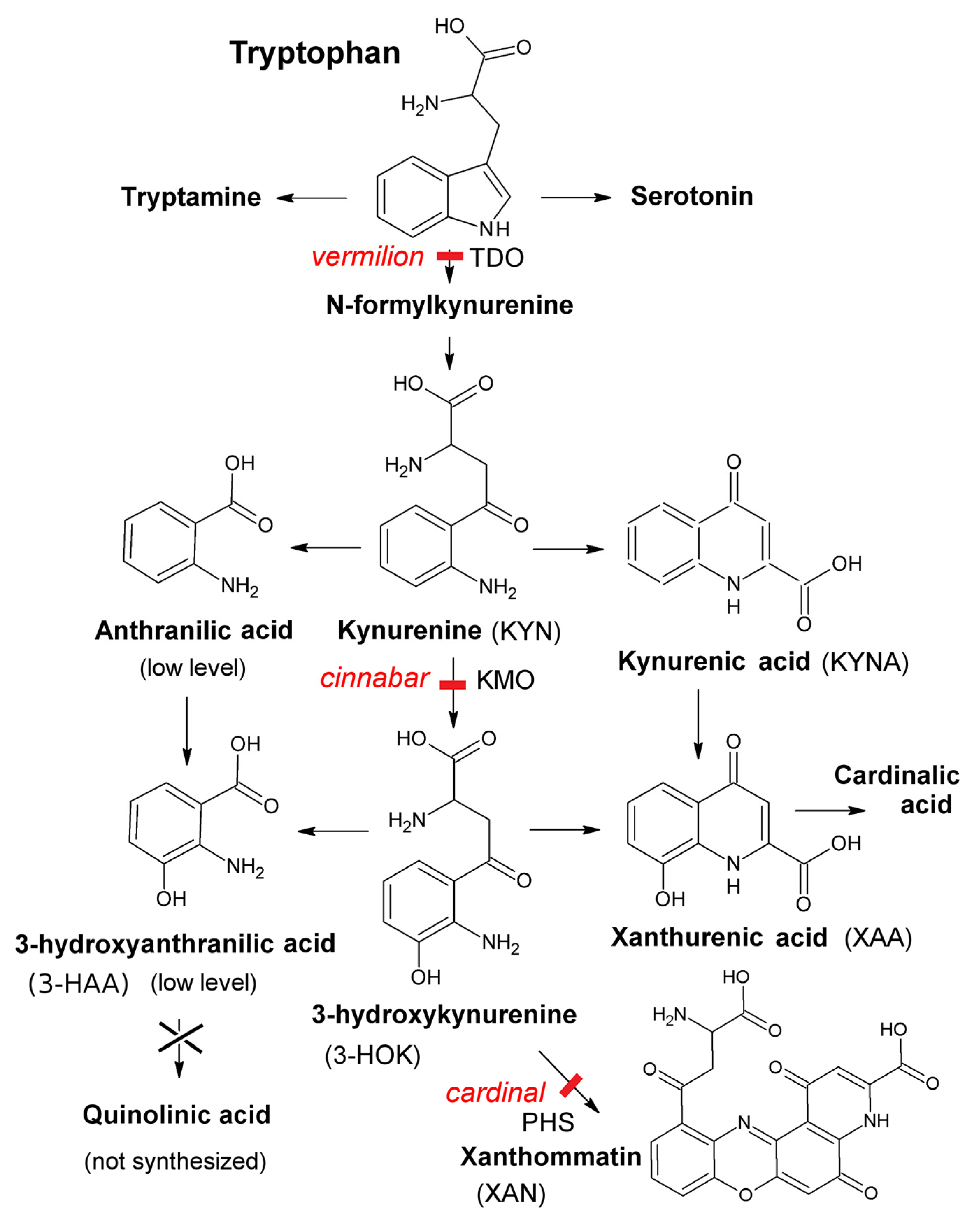Ijms 23 12356 g001 Ijms 23 12356 g001