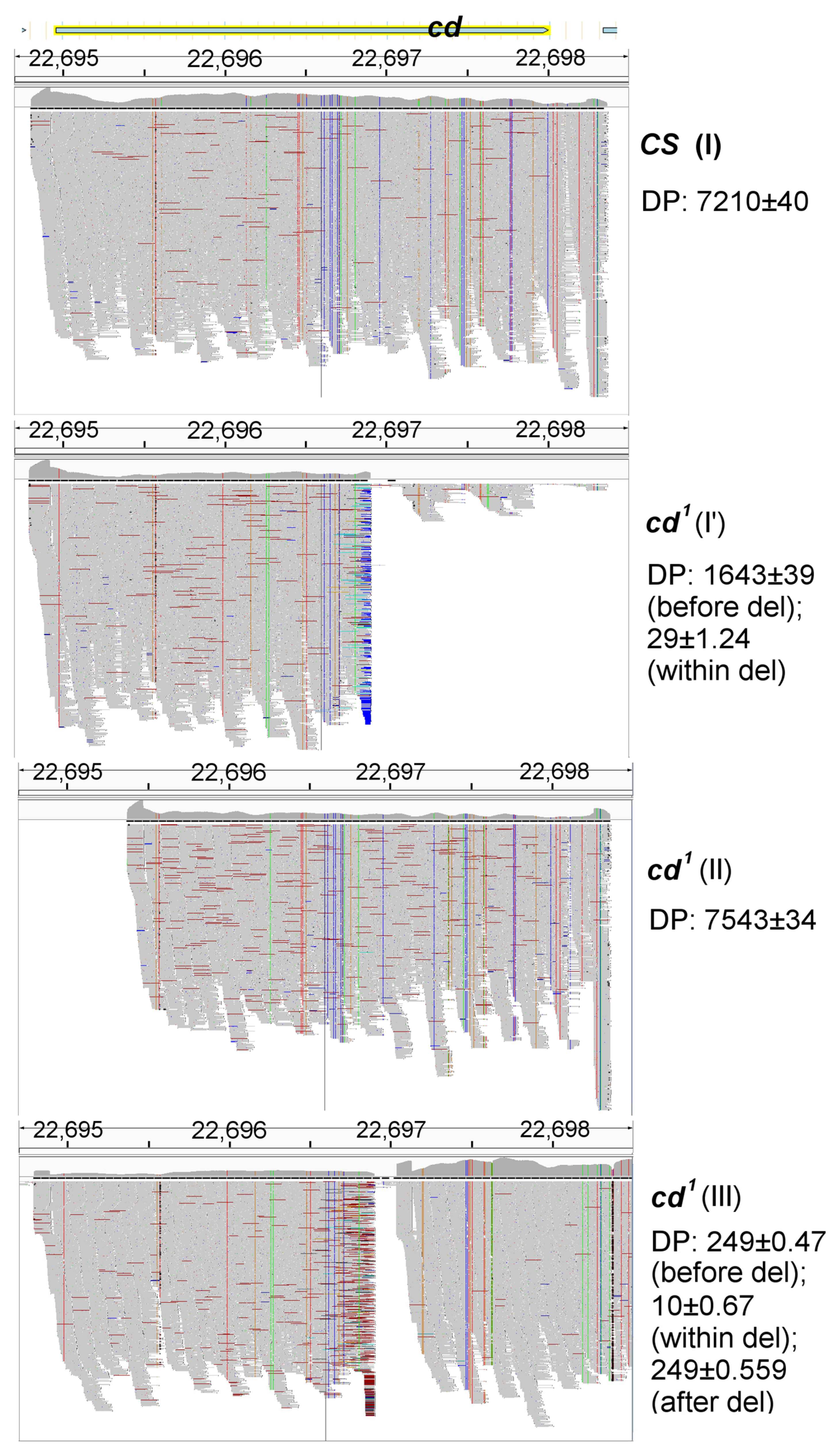 Ijms 23 12356 g003 Ijms 23 12356 g003