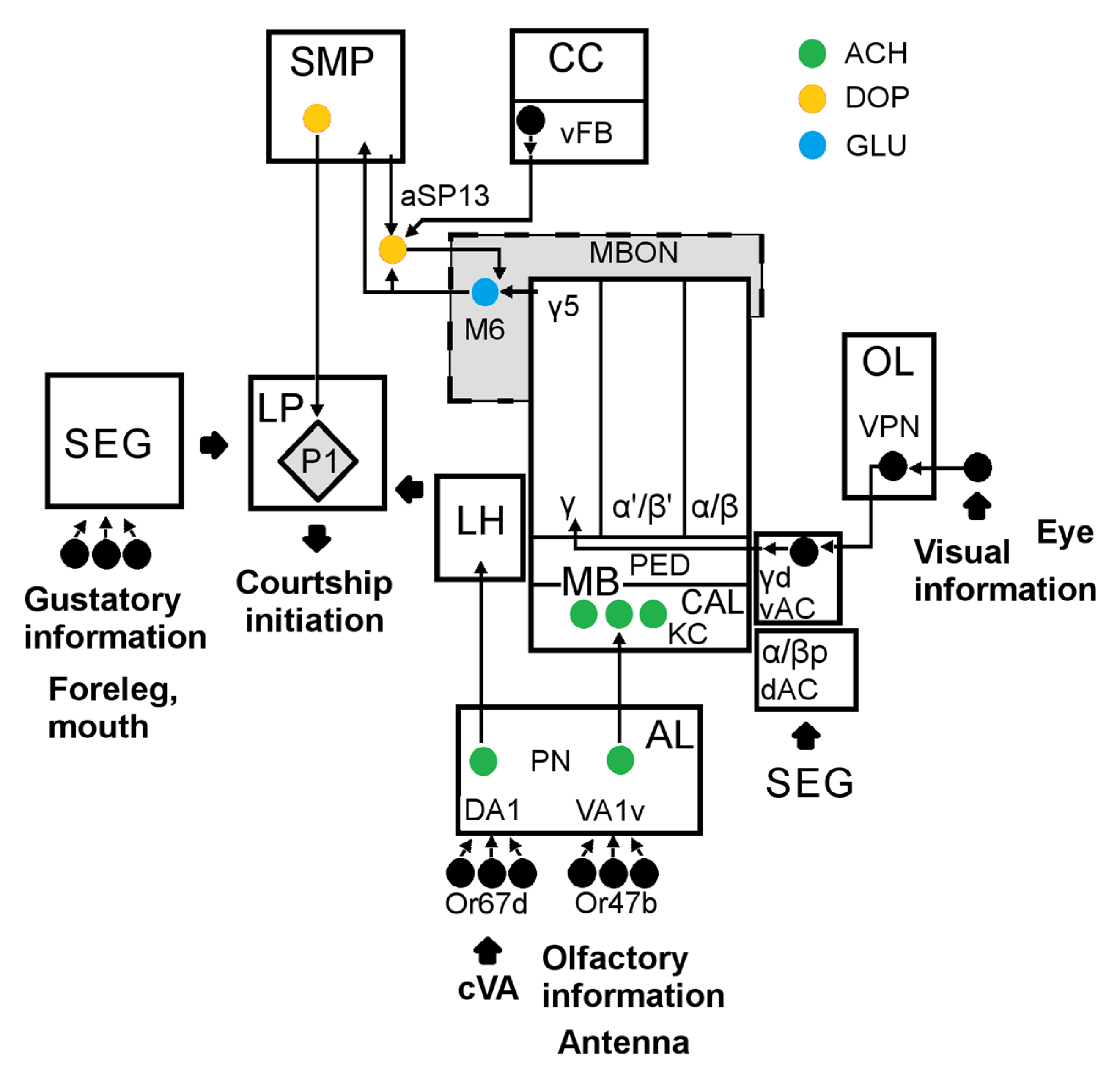 Ijms 23 12356 g010 Ijms 23 12356 g010