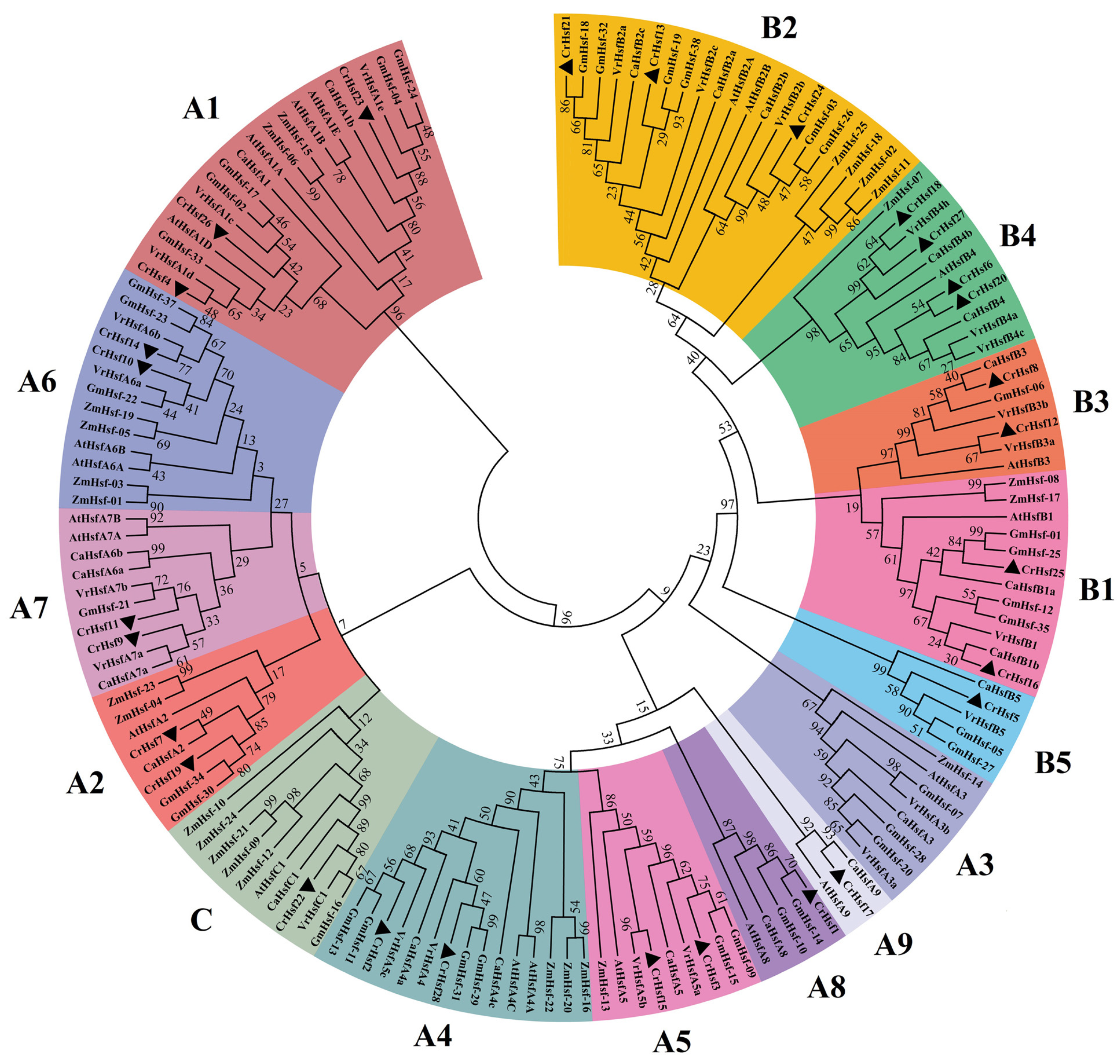 Ijms 23 12357 g001 Ijms 23 12357 g001