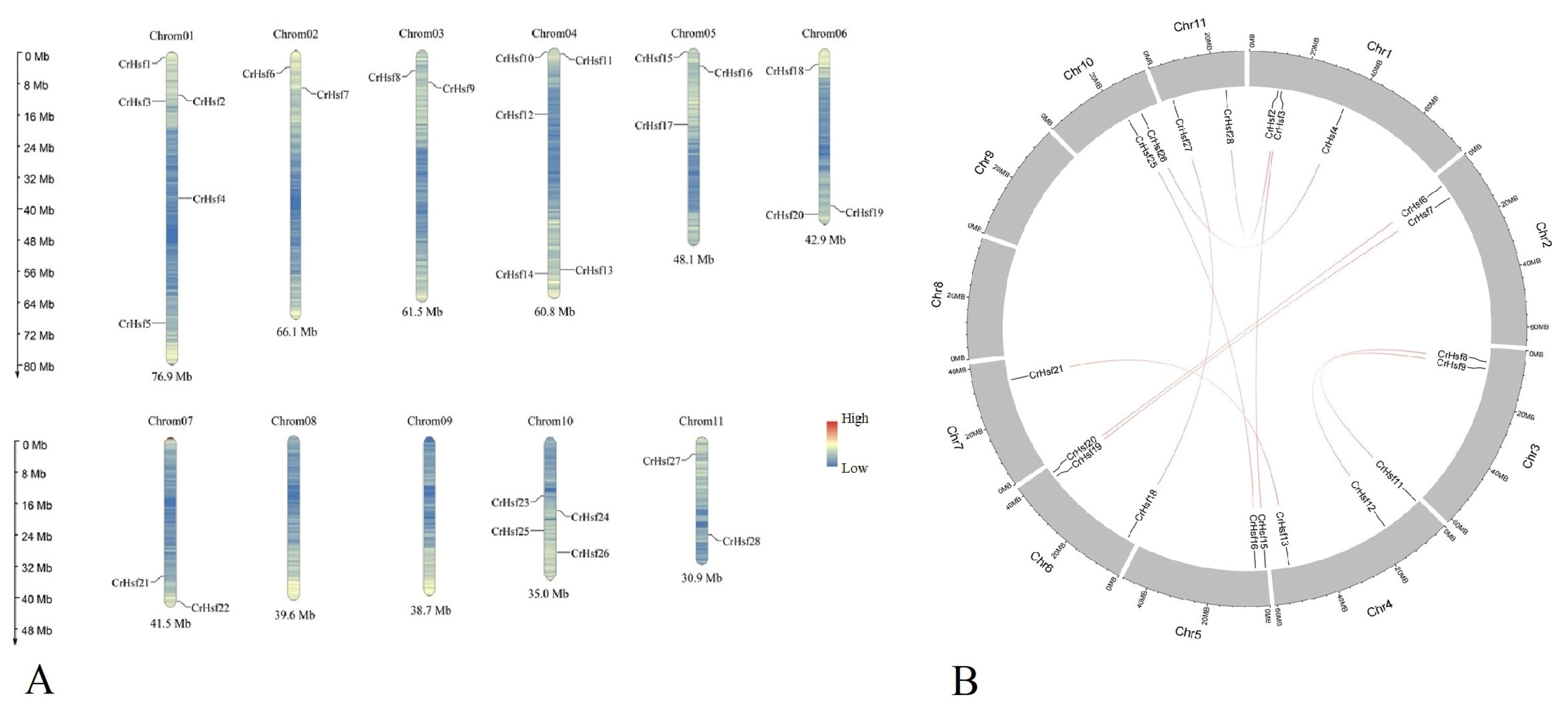Ijms 23 12357 g003 Ijms 23 12357 g003