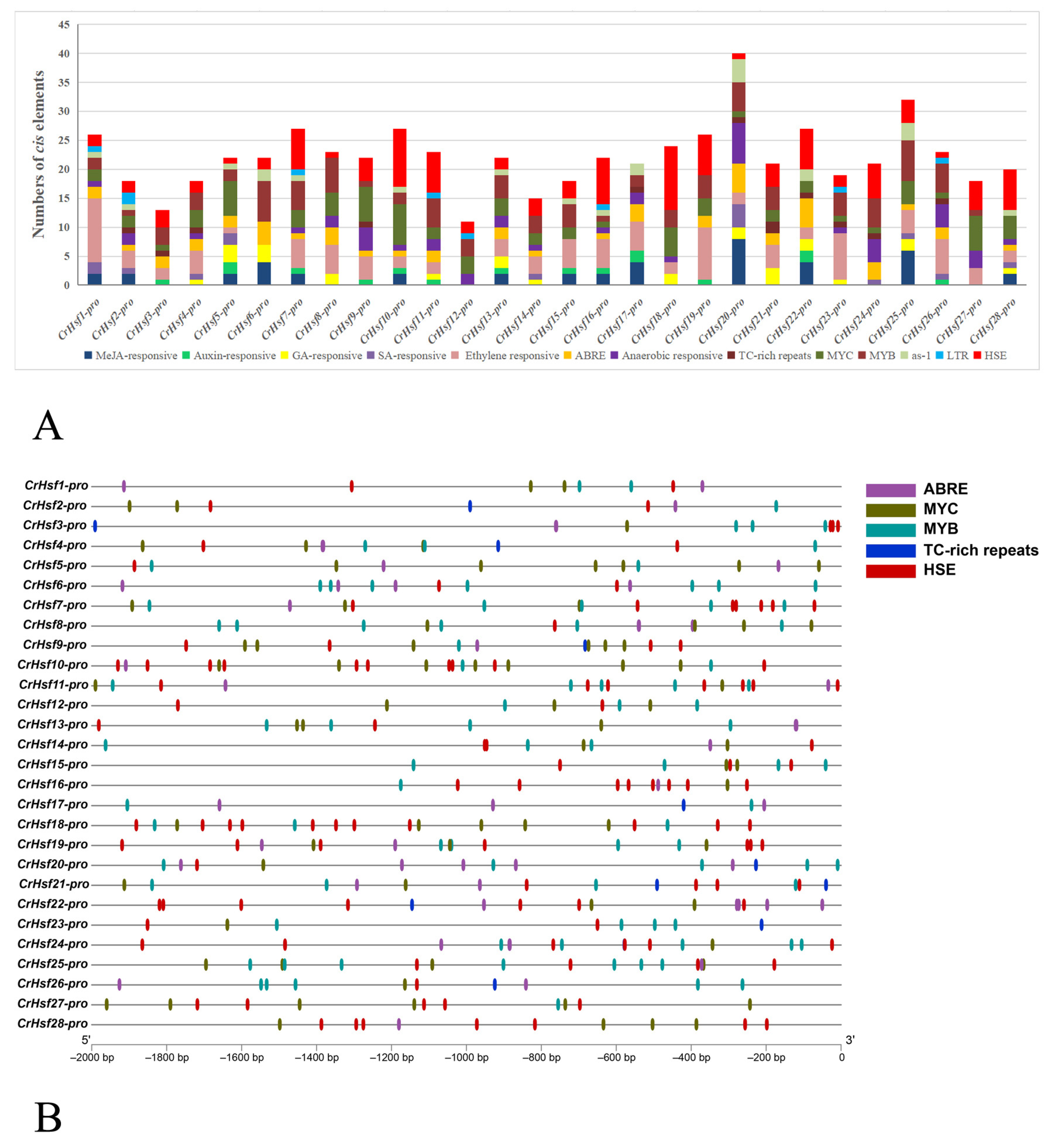 Ijms 23 12357 g005 Ijms 23 12357 g005