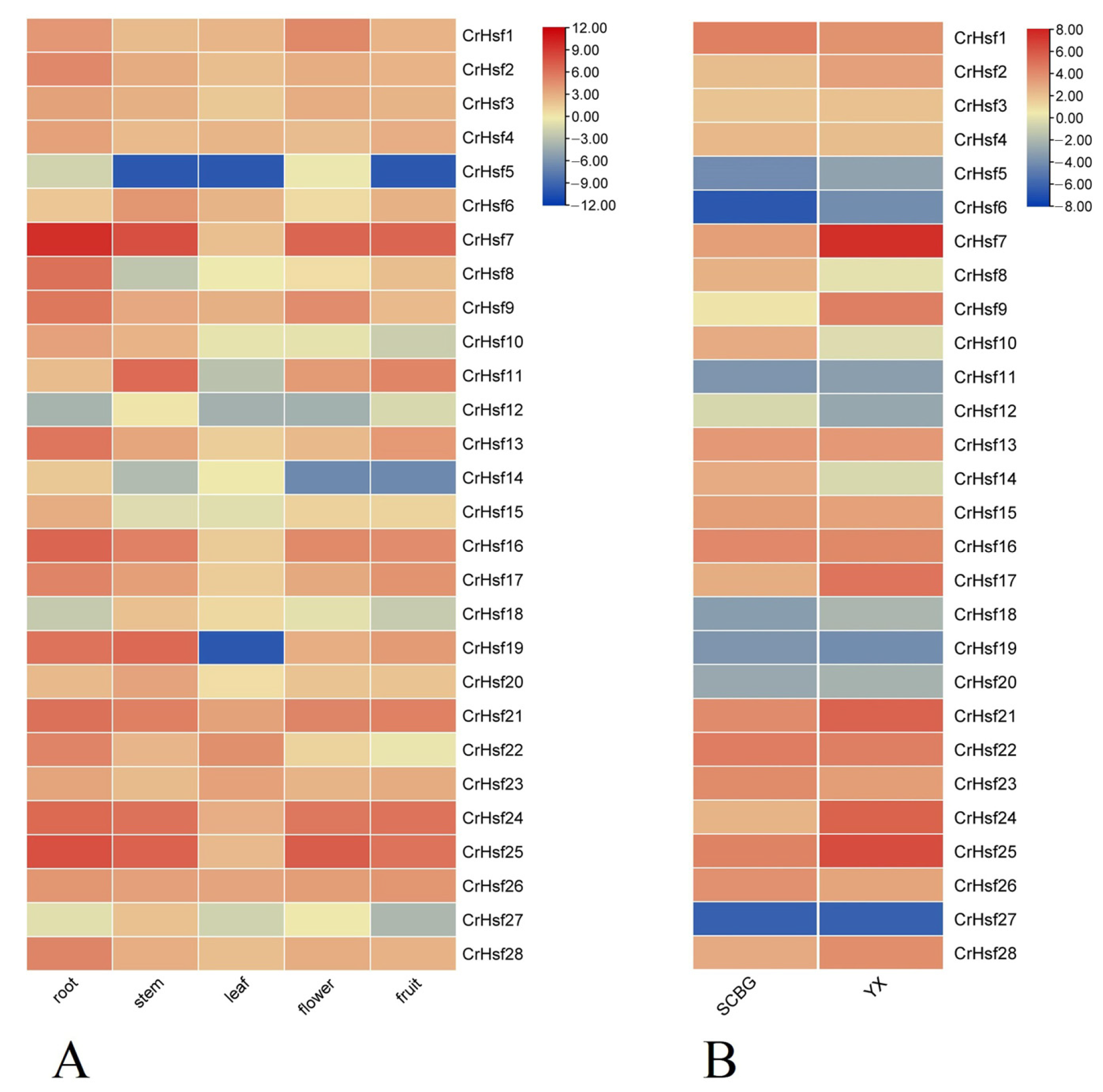 Ijms 23 12357 g006 Ijms 23 12357 g006