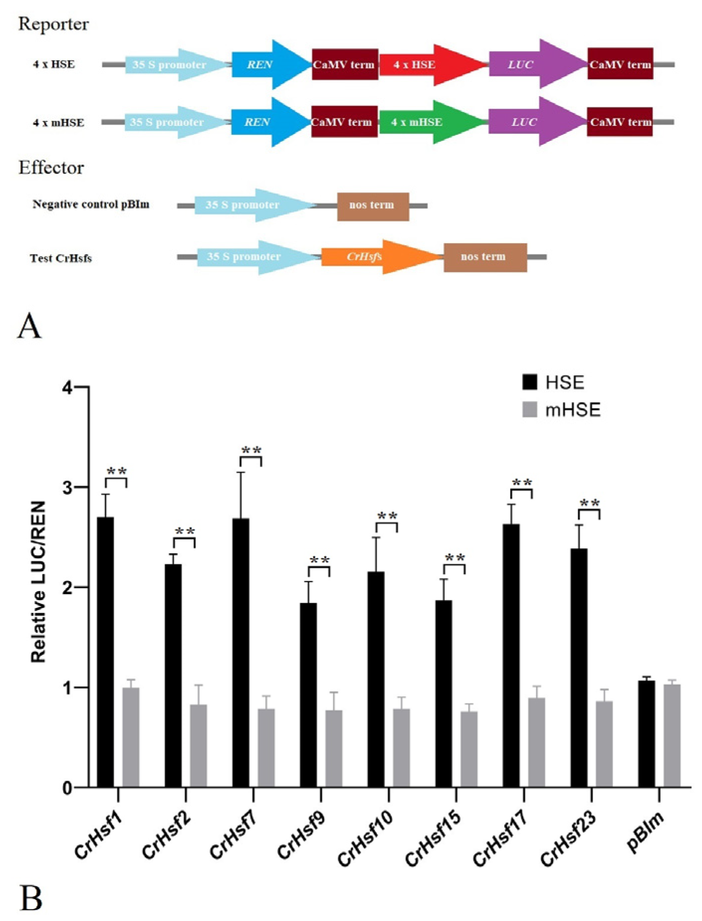 Ijms 23 12357 g010 Ijms 23 12357 g010