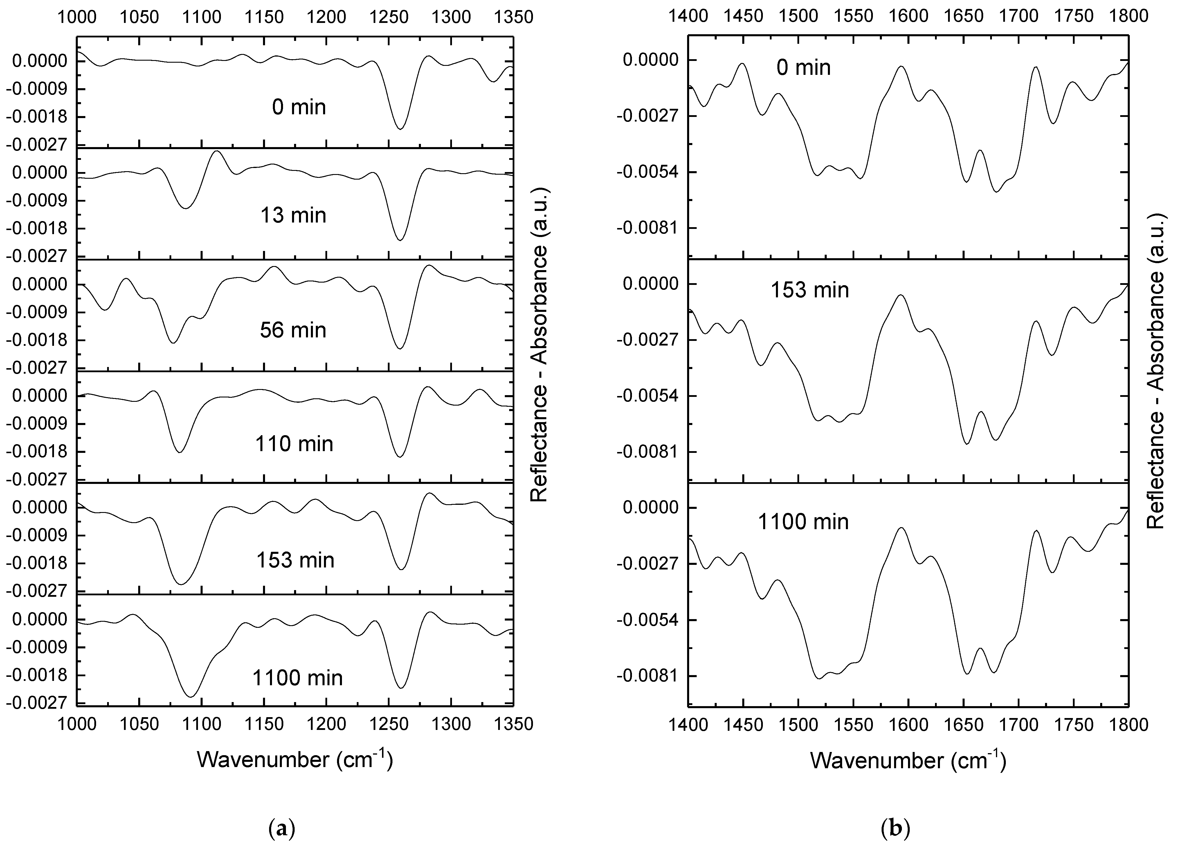 Ijms 23 12377 g005 Ijms 23 12377 g005