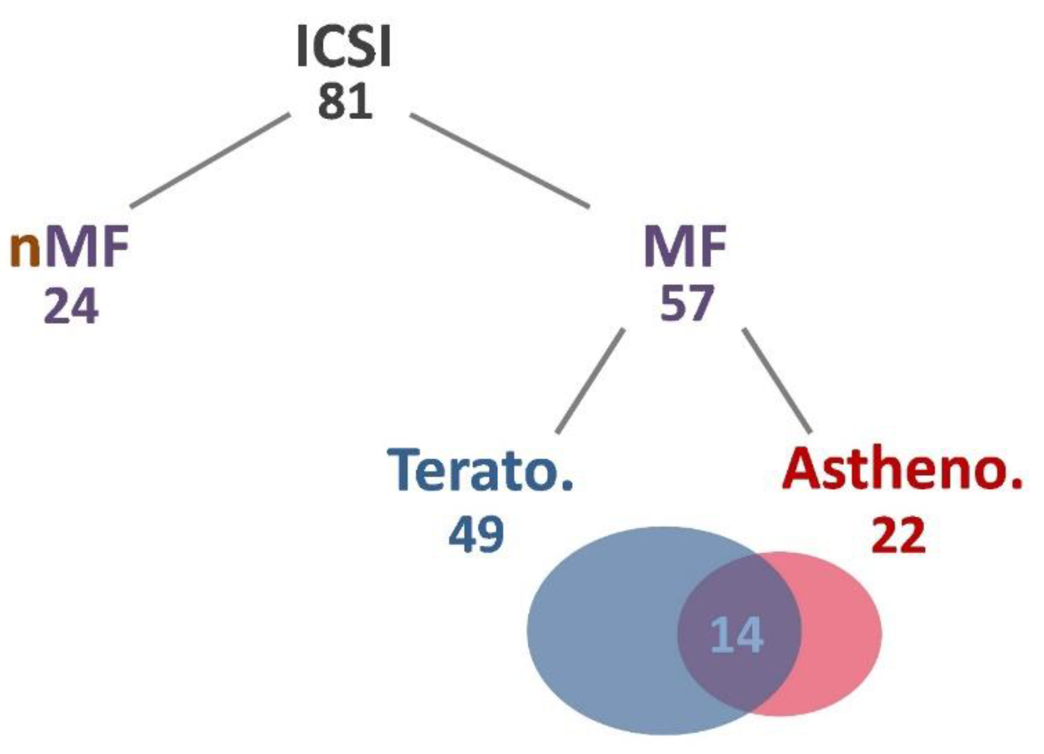 Ijms 23 12381 g001 Ijms 23 12381 g001