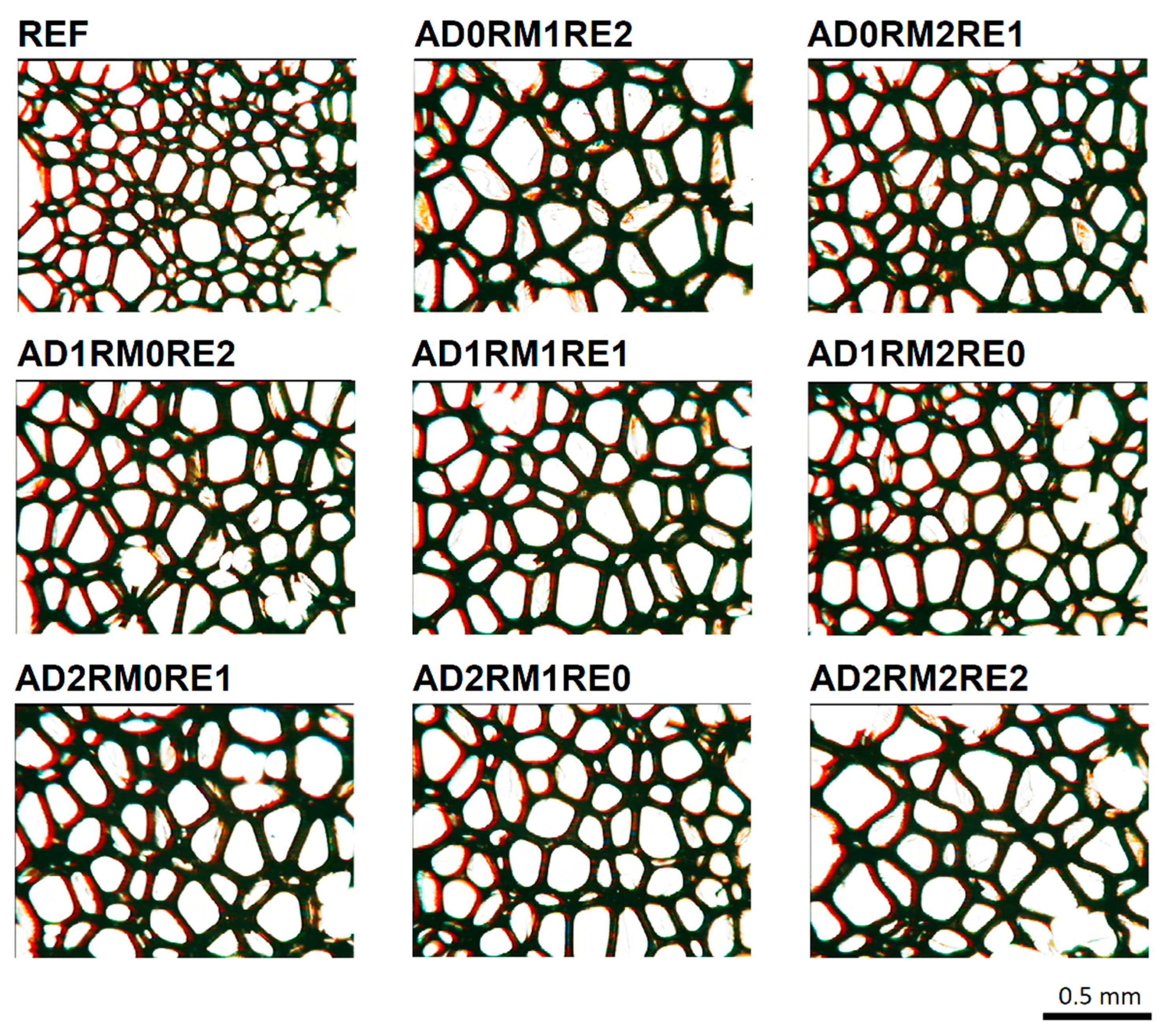 Ijms 23 12386 g003 Ijms 23 12386 g003