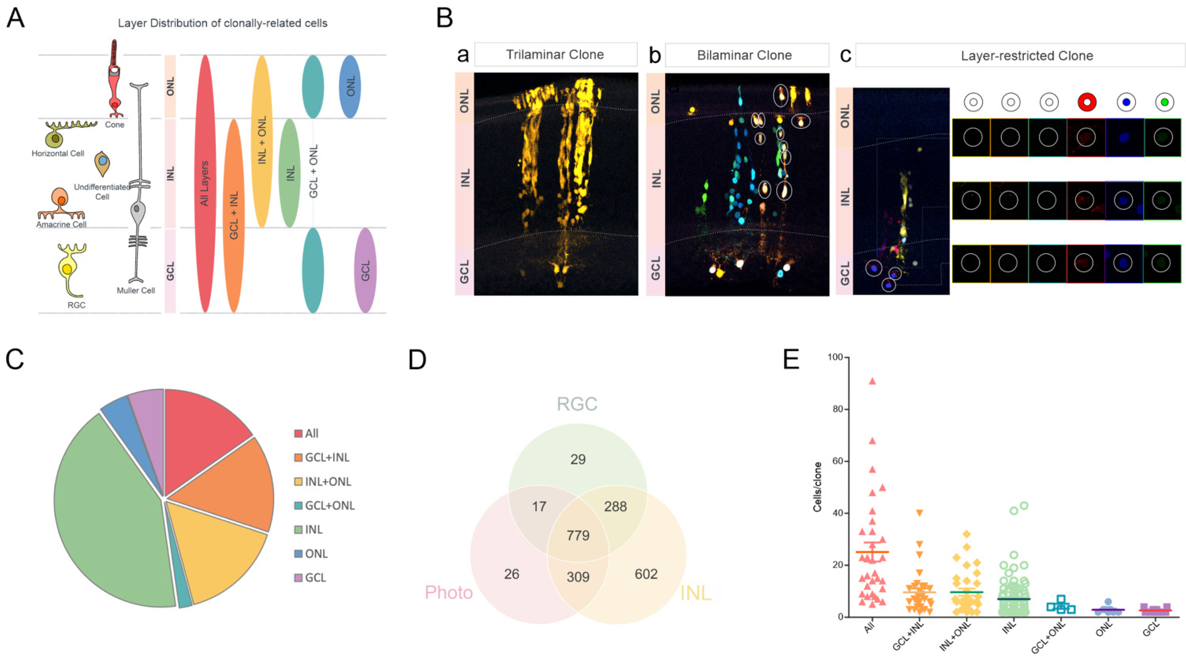 Ijms 23 12388 g003 Ijms 23 12388 g003